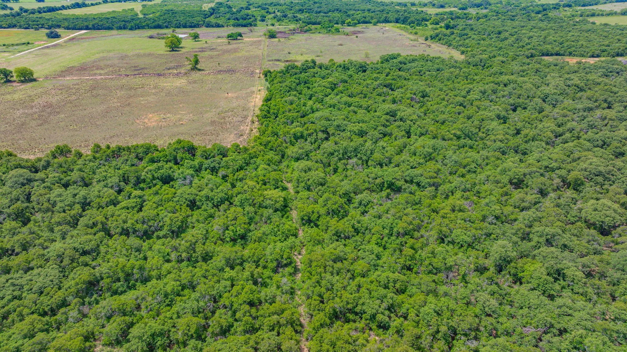 Unimproved Land For Sale in Eastland County , 0000 County Road 380, Rising Star, Texas 76471, 0, 0, Garage spaces, 0 Sqft, built in 0, Price $579,600, mls#20854863, Real Estate Agent in Rising Star, Homes For Sale in Eastland county, Homes For Sale in Rising Star, Realtor in Rising Star Texas, Real Estate Brokerage Independent Realty Texas, Luminita Cordes Realtor