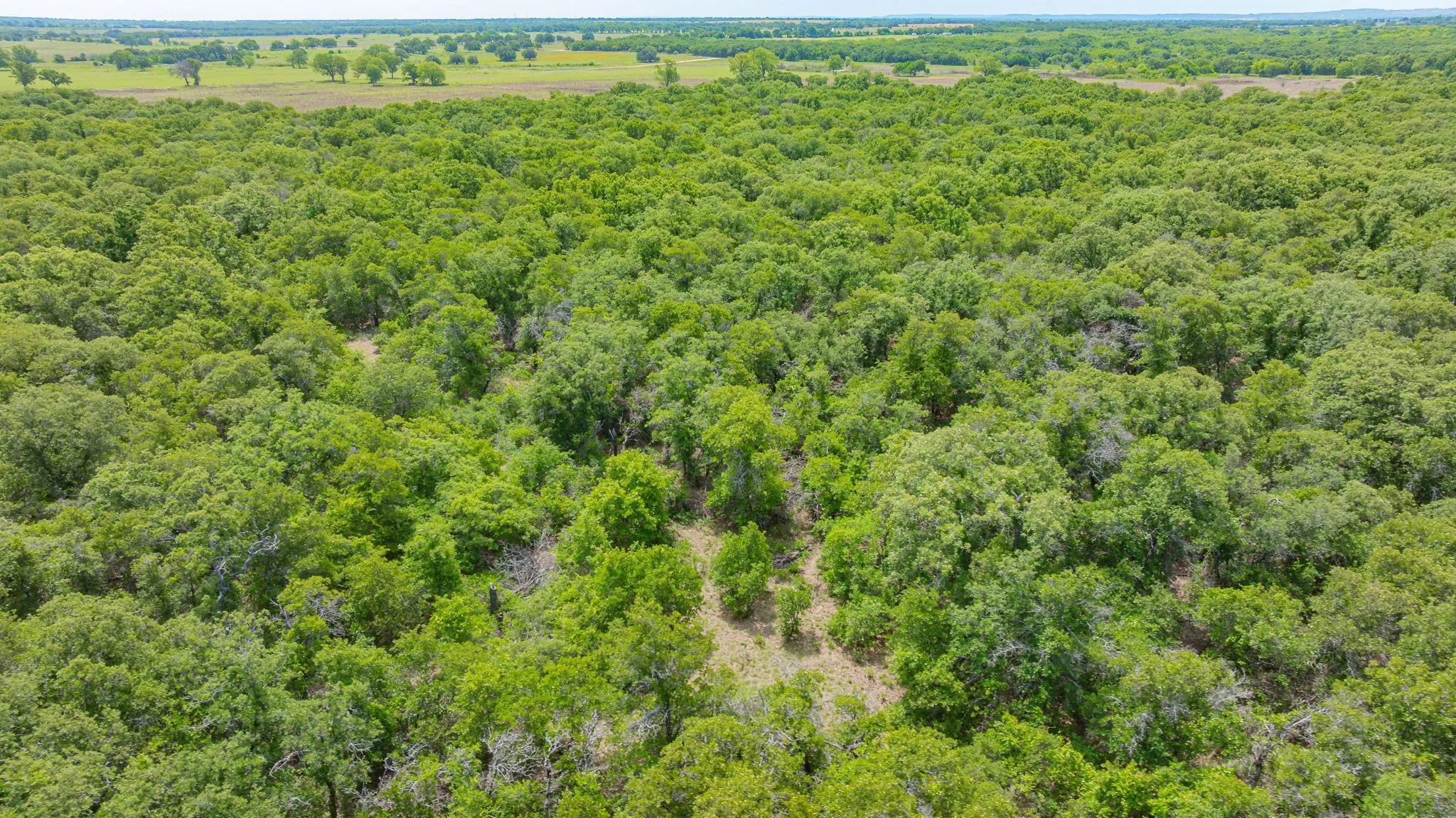 Unimproved Land For Sale in Eastland County , 0000 County Road 380, Rising Star, Texas 76471, 0, 0, Garage spaces, 0 Sqft, built in 0, Price $579,600, mls#20854863, Real Estate Agent in Rising Star, Homes For Sale in Eastland county, Homes For Sale in Rising Star, Realtor in Rising Star Texas, Real Estate Brokerage Independent Realty Texas, Luminita Cordes Realtor