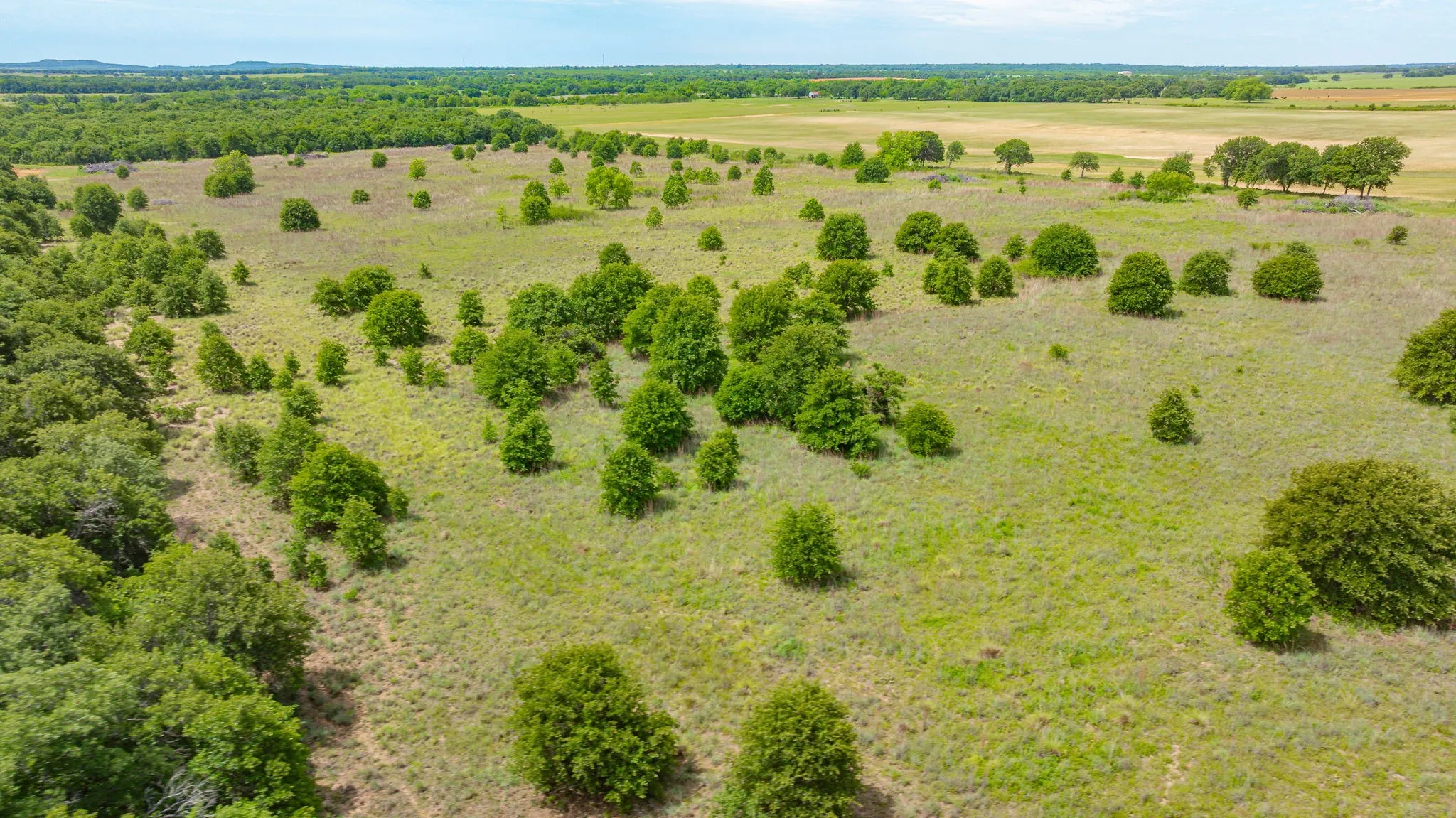 Unimproved Land For Sale in Eastland County , 0000 County Road 380, Rising Star, Texas 76471, 0, 0, Garage spaces, 0 Sqft, built in 0, Price $579,600, mls#20854863, Real Estate Agent in Rising Star, Homes For Sale in Eastland county, Homes For Sale in Rising Star, Realtor in Rising Star Texas, Real Estate Brokerage Independent Realty Texas, Luminita Cordes Realtor