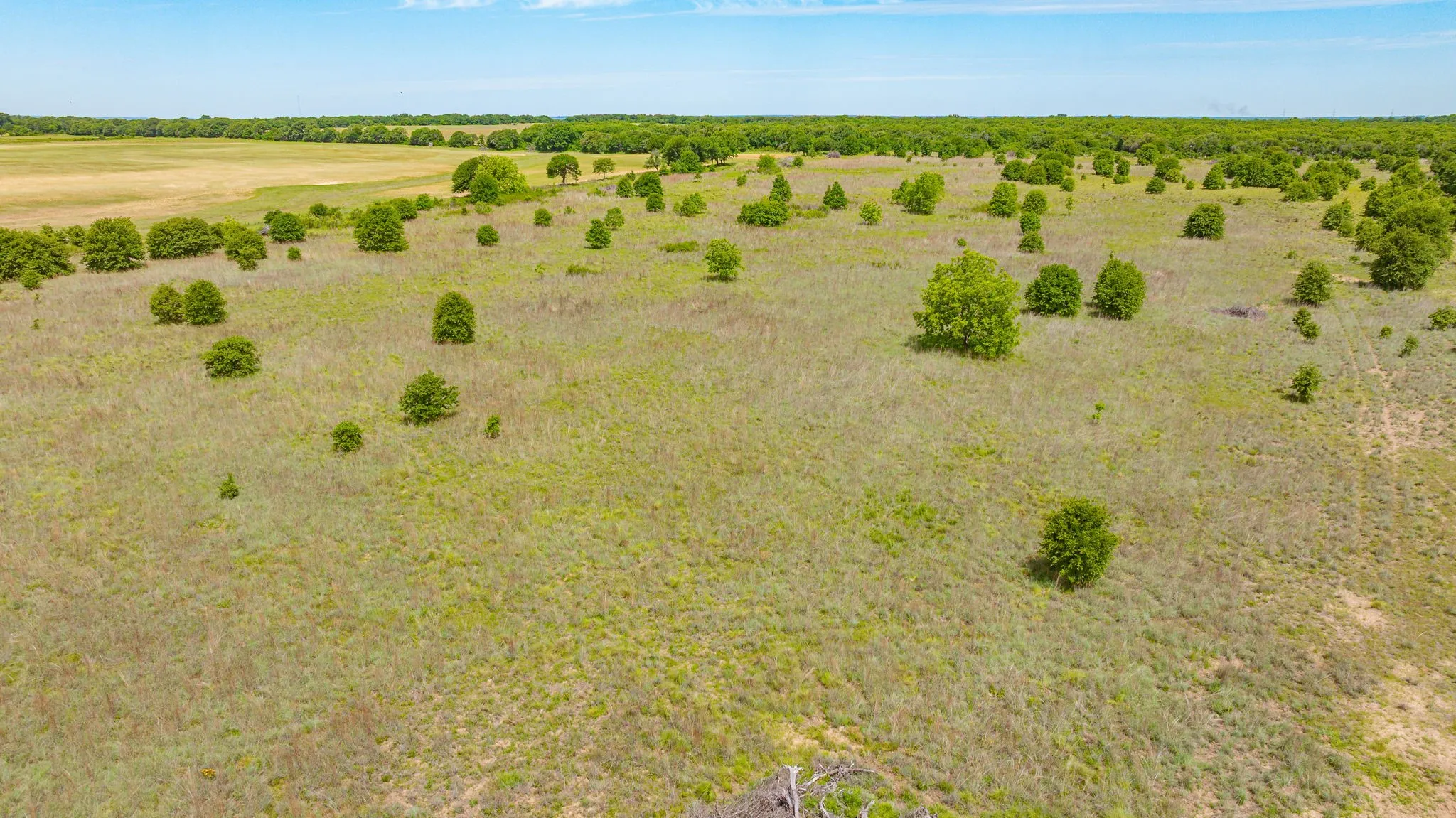 Unimproved Land For Sale in Eastland County , 0000 County Road 380, Rising Star, Texas 76471, 0, 0, Garage spaces, 0 Sqft, built in 0, Price $579,600, mls#20854863, Real Estate Agent in Rising Star, Homes For Sale in Eastland county, Homes For Sale in Rising Star, Realtor in Rising Star Texas, Real Estate Brokerage Independent Realty Texas, Luminita Cordes Realtor