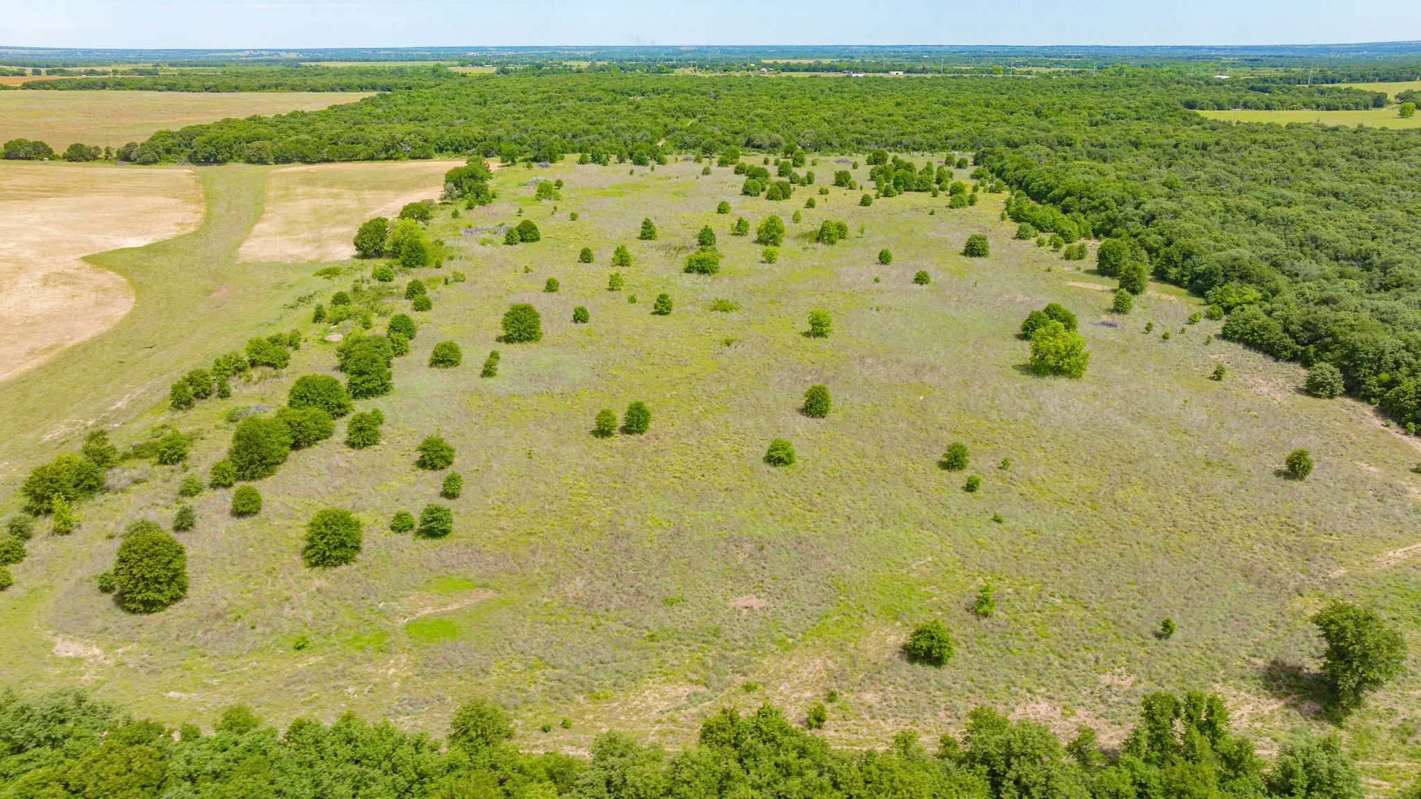 Unimproved Land For Sale in Eastland County , 0000 County Road 380, Rising Star, Texas 76471, 0, 0, Garage spaces, 0 Sqft, built in 0, Price $579,600, mls#20854863, Real Estate Agent in Rising Star, Homes For Sale in Eastland county, Homes For Sale in Rising Star, Realtor in Rising Star Texas, Real Estate Brokerage Independent Realty Texas, Luminita Cordes Realtor