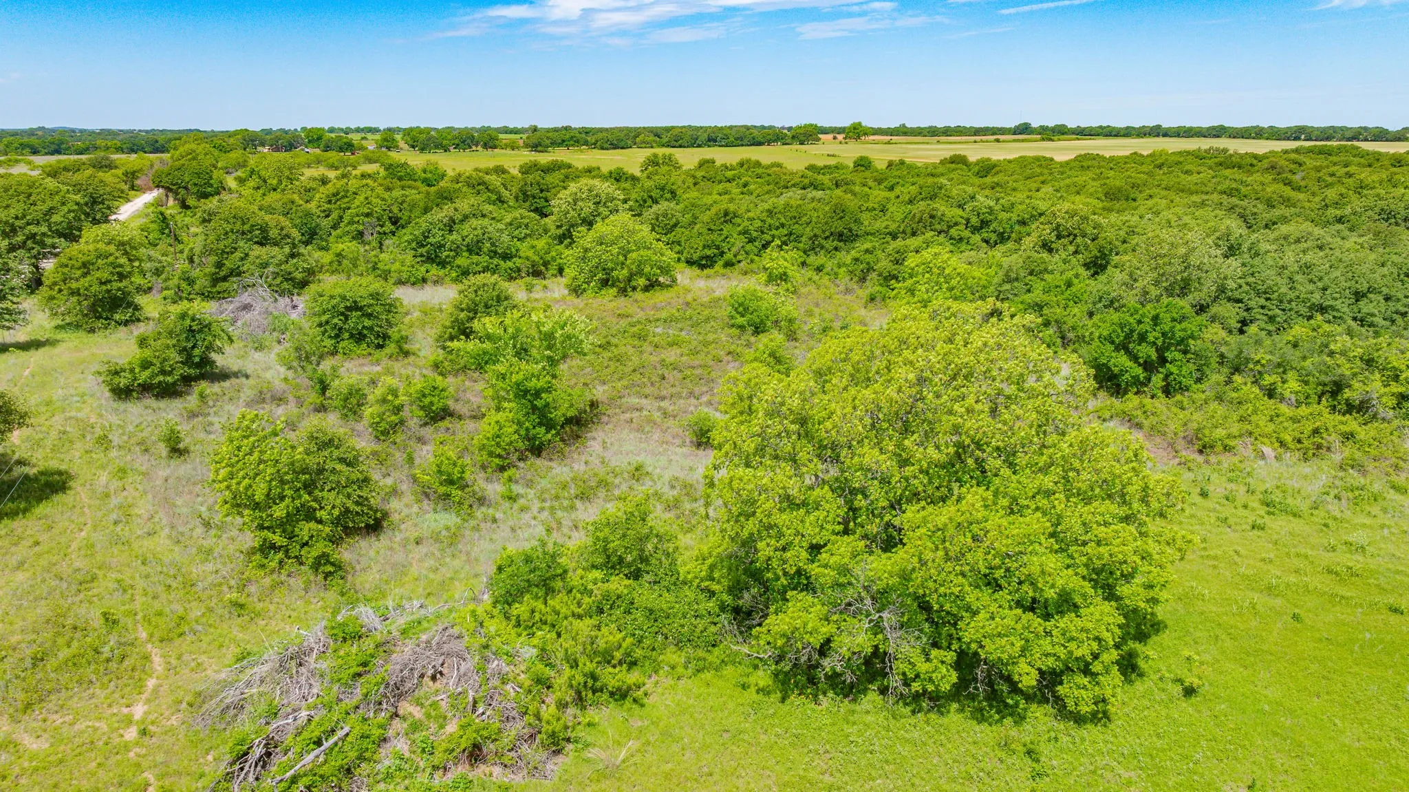 Unimproved Land For Sale in Eastland County , 0000 County Road 380, Rising Star, Texas 76471, 0, 0, Garage spaces, 0 Sqft, built in 0, Price $579,600, mls#20854863, Real Estate Agent in Rising Star, Homes For Sale in Eastland county, Homes For Sale in Rising Star, Realtor in Rising Star Texas, Real Estate Brokerage Independent Realty Texas, Luminita Cordes Realtor