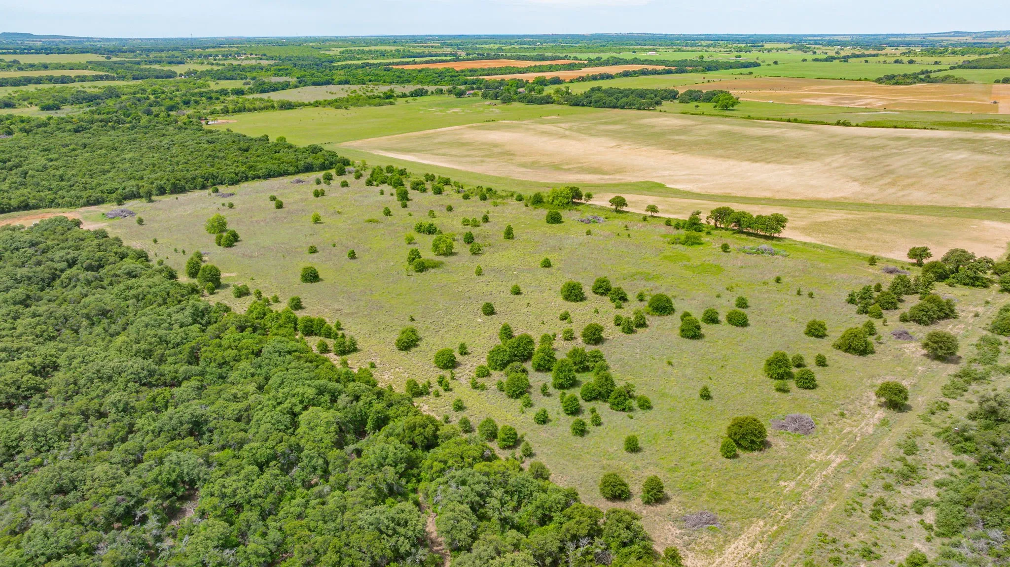 Unimproved Land For Sale in Eastland County , 0000 County Road 380, Rising Star, Texas 76471, 0, 0, Garage spaces, 0 Sqft, built in 0, Price $579,600, mls#20854863, Real Estate Agent in Rising Star, Homes For Sale in Eastland county, Homes For Sale in Rising Star, Realtor in Rising Star Texas, Real Estate Brokerage Independent Realty Texas, Luminita Cordes Realtor