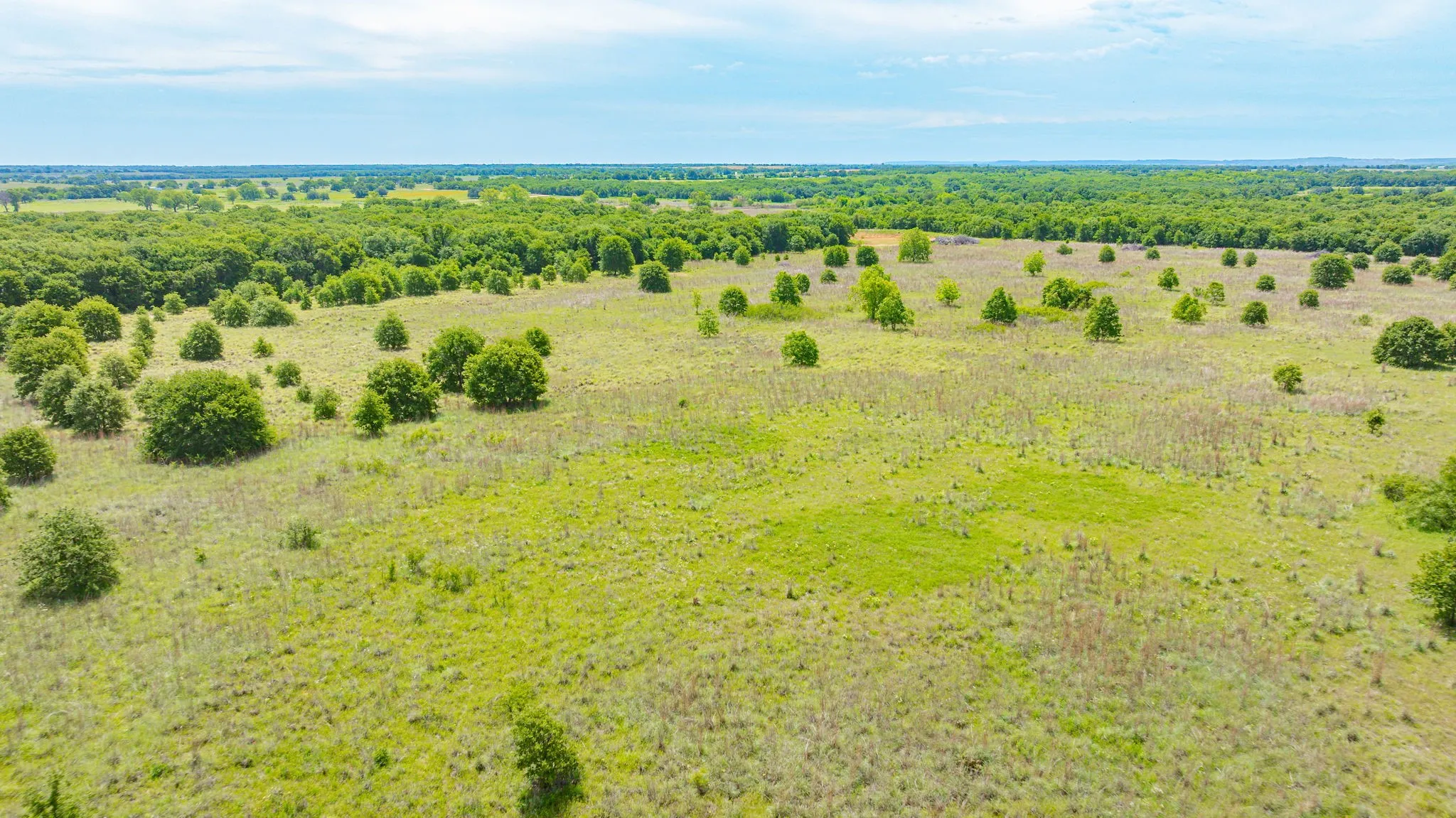 Unimproved Land For Sale in Eastland County , 0000 County Road 380, Rising Star, Texas 76471, 0, 0, Garage spaces, 0 Sqft, built in 0, Price $579,600, mls#20854863, Real Estate Agent in Rising Star, Homes For Sale in Eastland county, Homes For Sale in Rising Star, Realtor in Rising Star Texas, Real Estate Brokerage Independent Realty Texas, Luminita Cordes Realtor