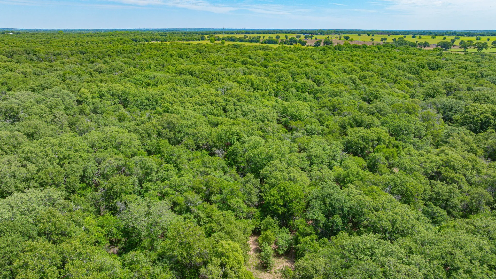 Unimproved Land For Sale in Eastland County , 0000 County Road 380, Rising Star, Texas 76471, 0, 0, Garage spaces, 0 Sqft, built in 0, Price $579,600, mls#20854863, Real Estate Agent in Rising Star, Homes For Sale in Eastland county, Homes For Sale in Rising Star, Realtor in Rising Star Texas, Real Estate Brokerage Independent Realty Texas, Luminita Cordes Realtor