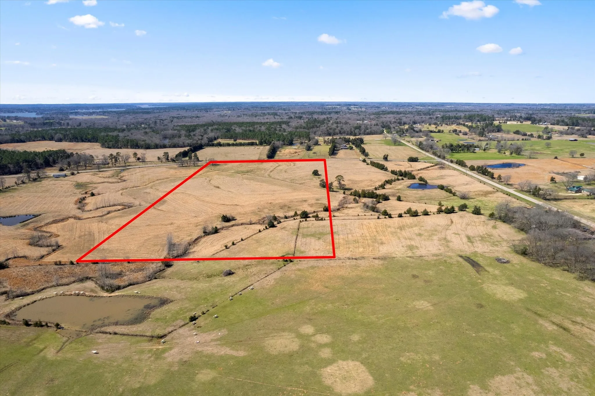 Birds eye view of property featuring a rural view