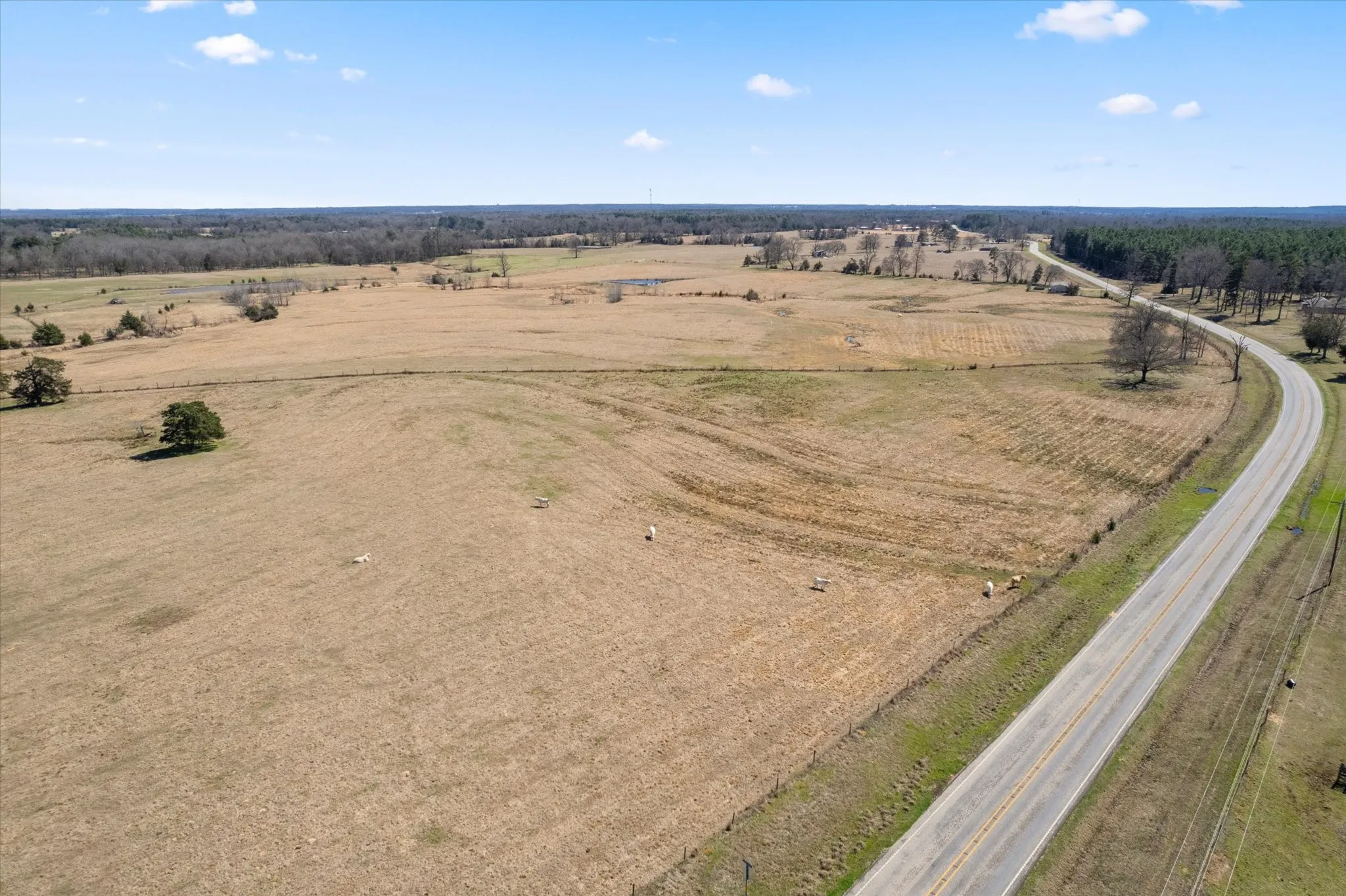 Birds eye view of property featuring a rural view