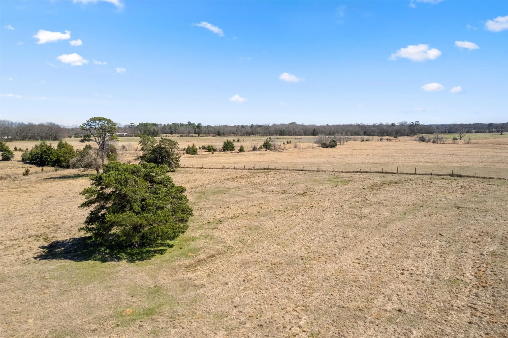 View of local wilderness with a rural view
