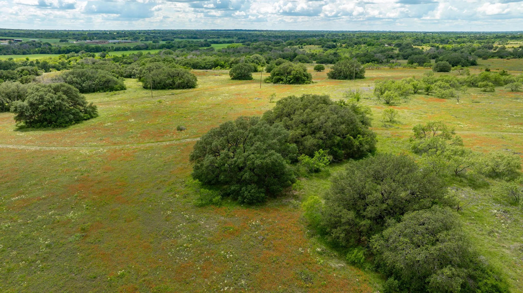 Unimproved Land For Sale in Erath County , TBD County Road 277, Dublin, Texas 76446, 0, 0, Garage spaces, 0 Sqft, built in 0, mls#20857020, Real Estate Agent in Dublin, Homes For Sale in Erath county, Homes For Sale in Dublin, Realtor in Dublin Texas, Real Estate Brokerage Independent Realty Texas, Luminita Cordes Realtor
