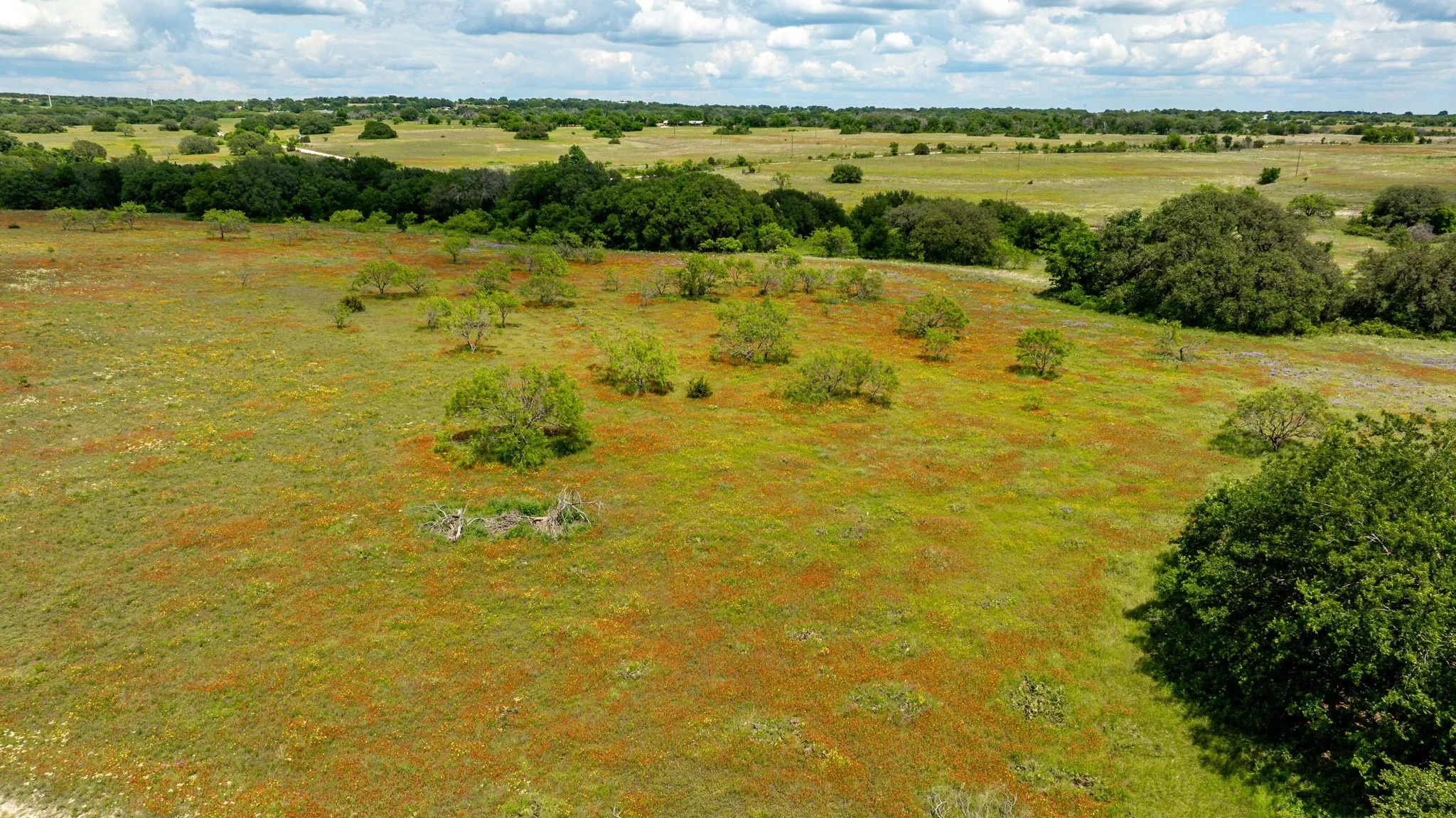 Unimproved Land For Sale in Erath County , TBD County Road 277, Dublin, Texas 76446, 0, 0, Garage spaces, 0 Sqft, built in 0, mls#20857020, Real Estate Agent in Dublin, Homes For Sale in Erath county, Homes For Sale in Dublin, Realtor in Dublin Texas, Real Estate Brokerage Independent Realty Texas, Luminita Cordes Realtor