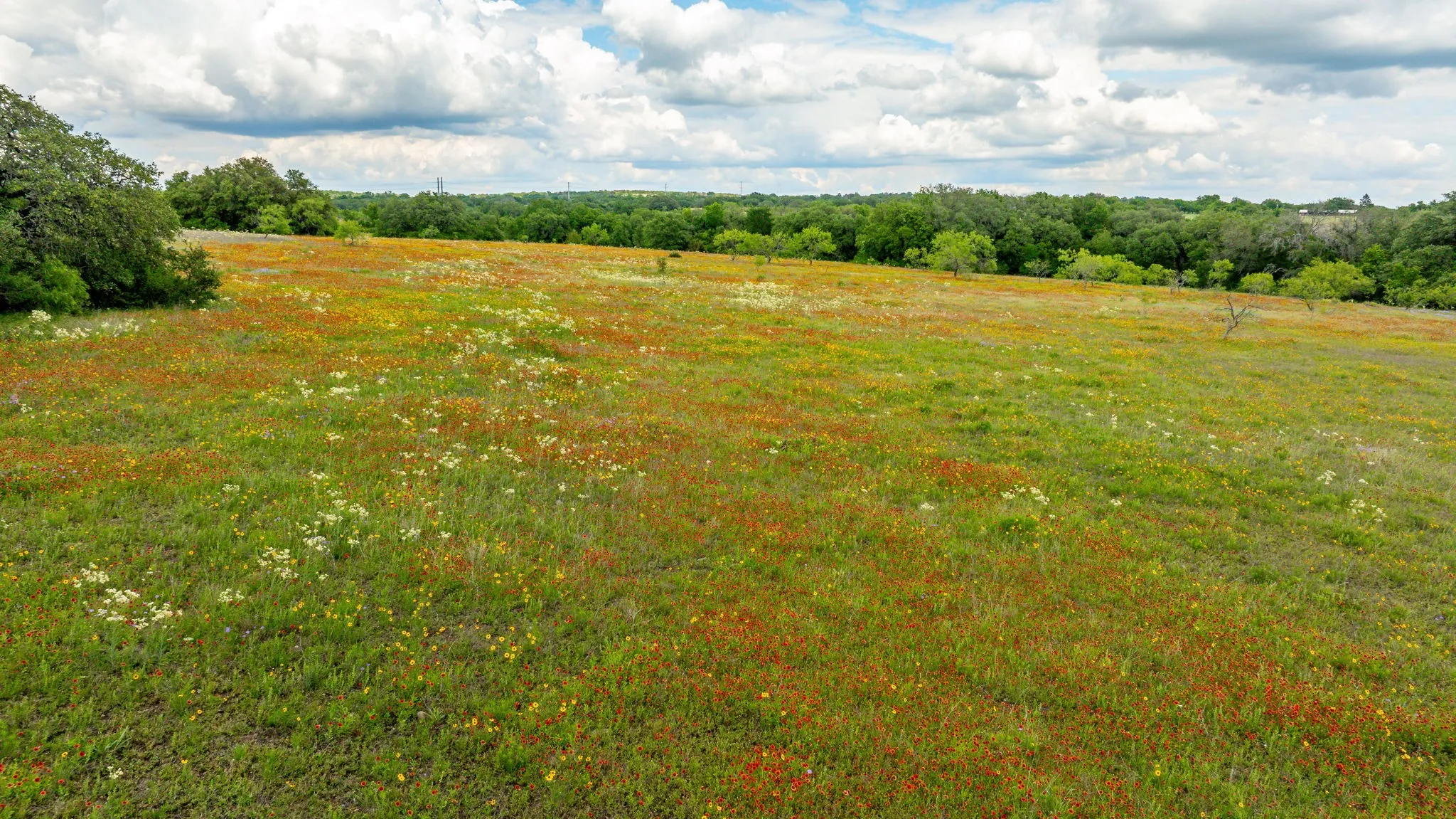 Unimproved Land For Sale in Erath County , TBD County Road 277, Dublin, Texas 76446, 0, 0, Garage spaces, 0 Sqft, built in 0, mls#20857020, Real Estate Agent in Dublin, Homes For Sale in Erath county, Homes For Sale in Dublin, Realtor in Dublin Texas, Real Estate Brokerage Independent Realty Texas, Luminita Cordes Realtor