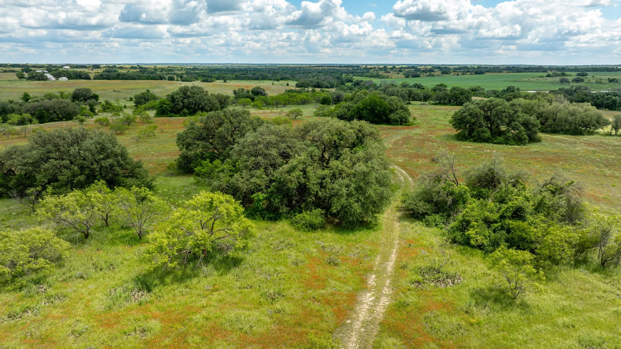 Unimproved Land For Sale in Erath County , TBD County Road 277, Dublin, Texas 76446, 0, 0, Garage spaces, 0 Sqft, built in 0, mls#20857020, Real Estate Agent in Dublin, Homes For Sale in Erath county, Homes For Sale in Dublin, Realtor in Dublin Texas, Real Estate Brokerage Independent Realty Texas, Luminita Cordes Realtor