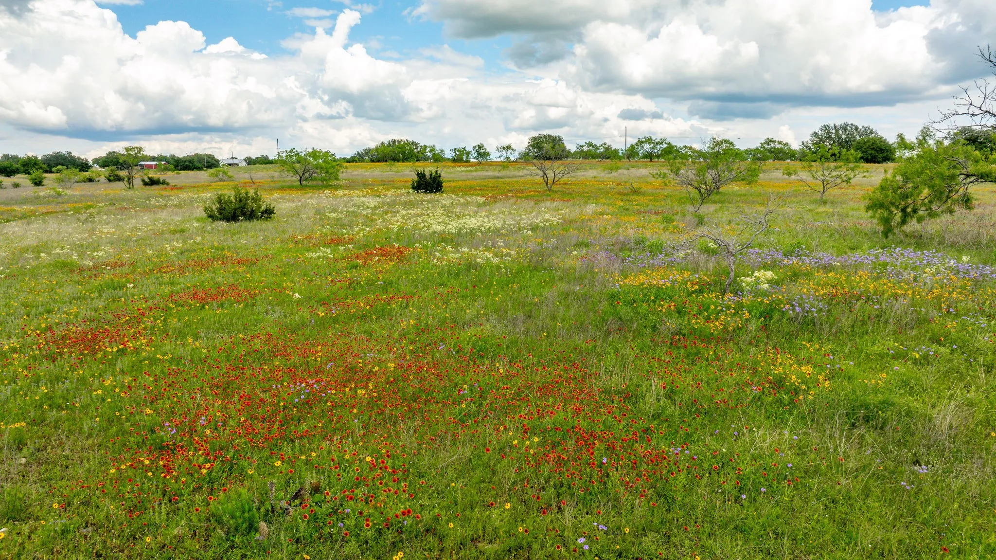 Unimproved Land For Sale in Erath County , TBD County Road 277, Dublin, Texas 76446, 0, 0, Garage spaces, 0 Sqft, built in 0, mls#20857020, Real Estate Agent in Dublin, Homes For Sale in Erath county, Homes For Sale in Dublin, Realtor in Dublin Texas, Real Estate Brokerage Independent Realty Texas, Luminita Cordes Realtor