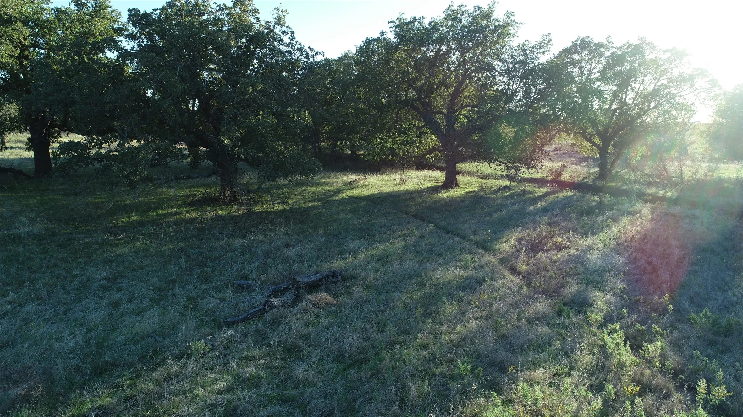 Ranch For Sale in Jack County , 151 ac TBD W Hwy 114, Jermyn, Texas 76459, 0, 0, Garage spaces, 0 Sqft, built in 0, Price $898,500, mls#20863286, Real Estate Agent in Jermyn, Homes For Sale in Jack county, Homes For Sale in Jermyn, Realtor in Jermyn Texas, Real Estate Brokerage Independent Realty Texas, Luminita Cordes Realtor