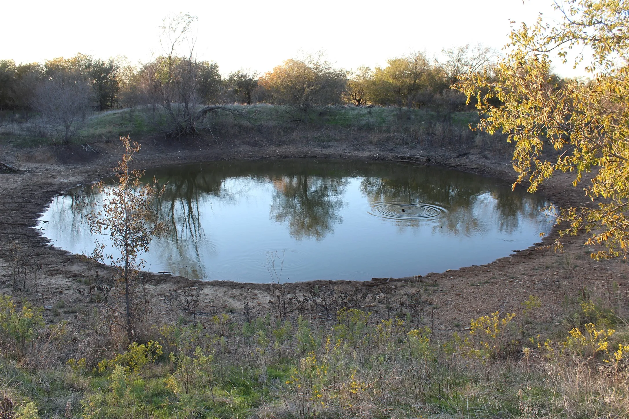 Ranch For Sale in Jack County , 151 ac TBD W Hwy 114, Jermyn, Texas 76459, 0, 0, Garage spaces, 0 Sqft, built in 0, Price $898,500, mls#20863286, Real Estate Agent in Jermyn, Homes For Sale in Jack county, Homes For Sale in Jermyn, Realtor in Jermyn Texas, Real Estate Brokerage Independent Realty Texas, Luminita Cordes Realtor