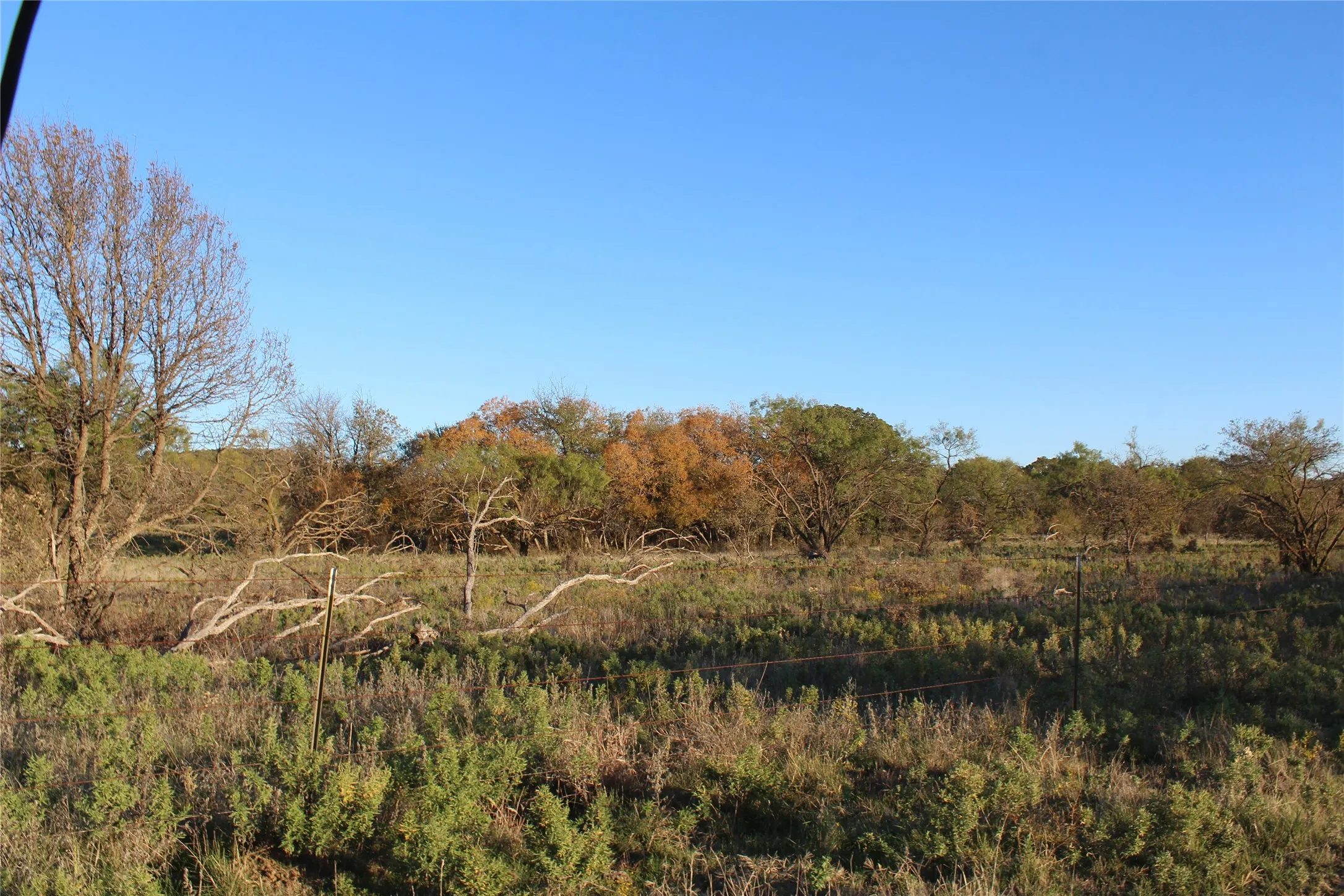 Ranch For Sale in Jack County , 151 ac TBD W Hwy 114, Jermyn, Texas 76459, 0, 0, Garage spaces, 0 Sqft, built in 0, Price $898,500, mls#20863286, Real Estate Agent in Jermyn, Homes For Sale in Jack county, Homes For Sale in Jermyn, Realtor in Jermyn Texas, Real Estate Brokerage Independent Realty Texas, Luminita Cordes Realtor