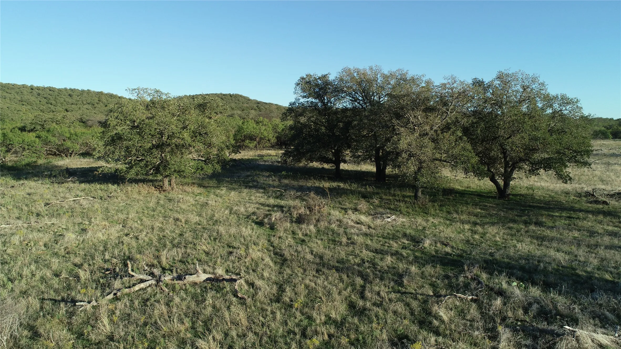 Ranch For Sale in Jack County , 151 ac TBD W Hwy 114, Jermyn, Texas 76459, 0, 0, Garage spaces, 0 Sqft, built in 0, Price $898,500, mls#20863286, Real Estate Agent in Jermyn, Homes For Sale in Jack county, Homes For Sale in Jermyn, Realtor in Jermyn Texas, Real Estate Brokerage Independent Realty Texas, Luminita Cordes Realtor