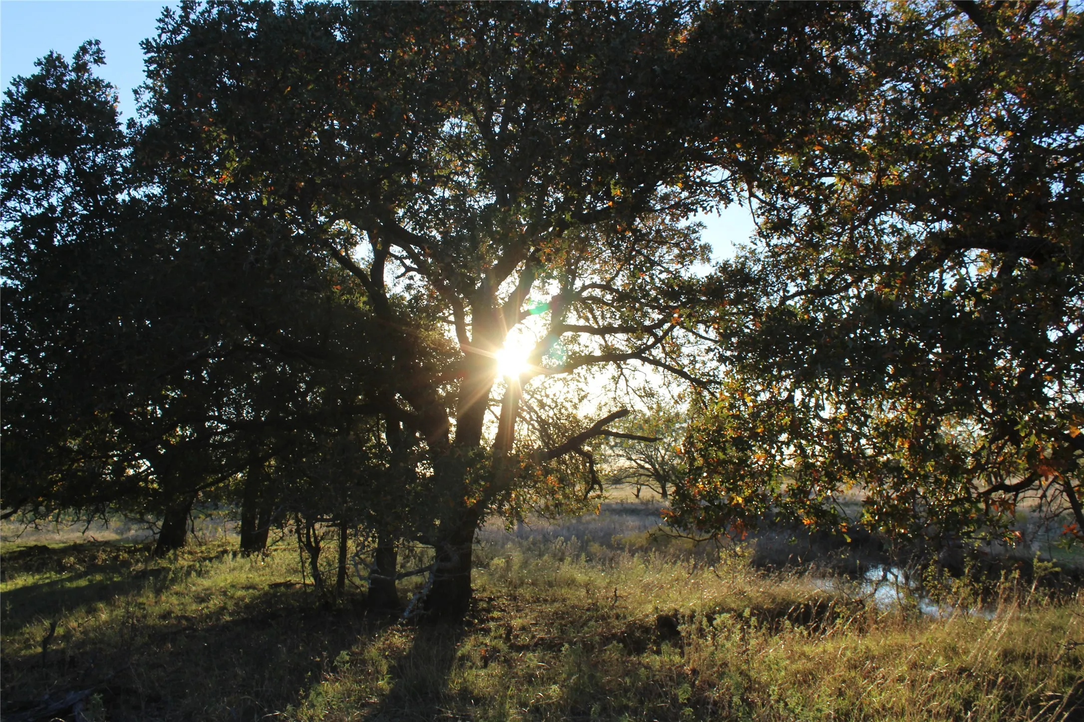 Ranch For Sale in Jack County , 151 ac TBD W Hwy 114, Jermyn, Texas 76459, 0, 0, Garage spaces, 0 Sqft, built in 0, Price $898,500, mls#20863286, Real Estate Agent in Jermyn, Homes For Sale in Jack county, Homes For Sale in Jermyn, Realtor in Jermyn Texas, Real Estate Brokerage Independent Realty Texas, Luminita Cordes Realtor