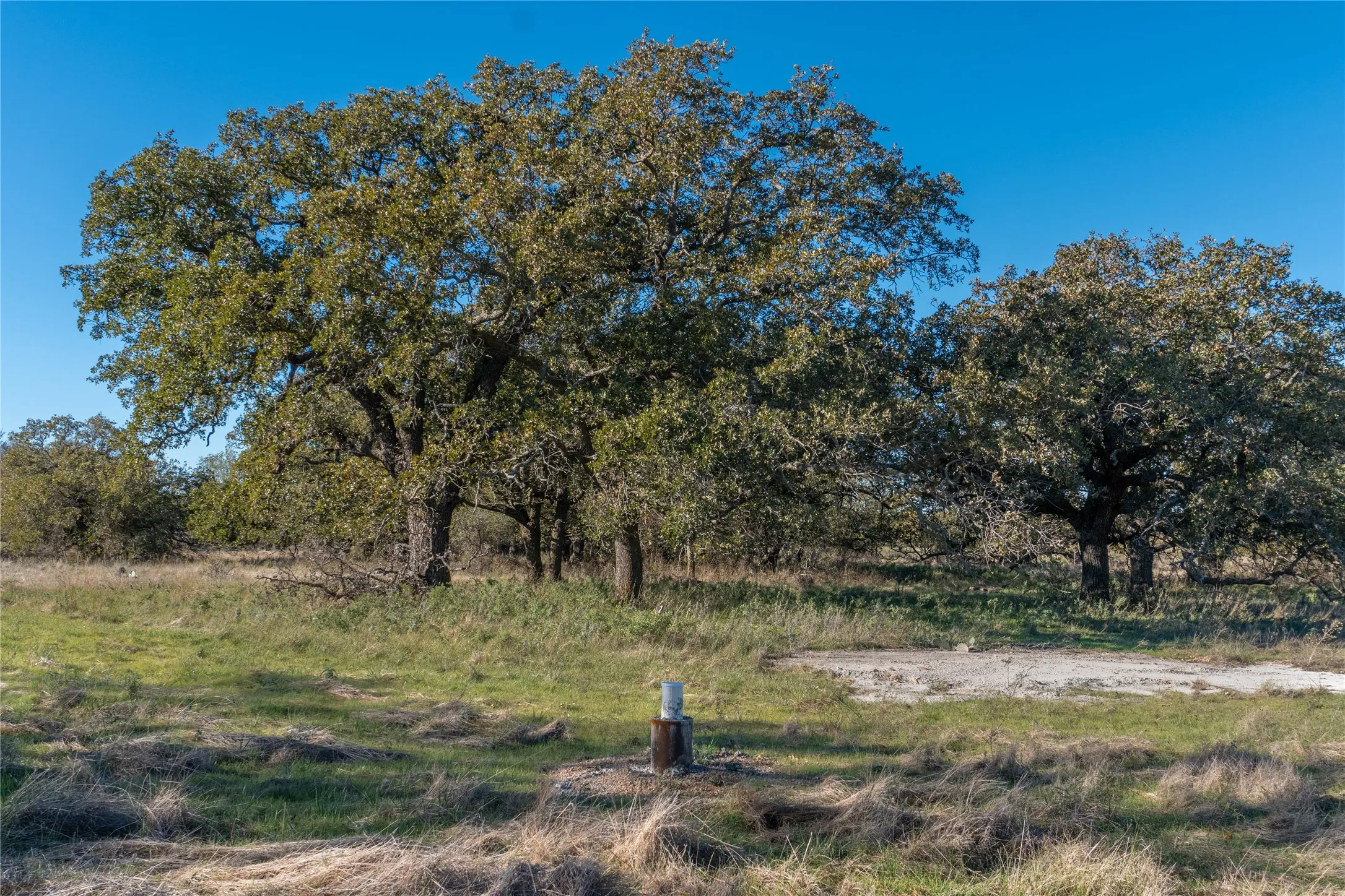 Ranch For Sale in Jack County , 151 ac TBD W Hwy 114, Jermyn, Texas 76459, 0, 0, Garage spaces, 0 Sqft, built in 0, Price $898,500, mls#20863286, Real Estate Agent in Jermyn, Homes For Sale in Jack county, Homes For Sale in Jermyn, Realtor in Jermyn Texas, Real Estate Brokerage Independent Realty Texas, Luminita Cordes Realtor