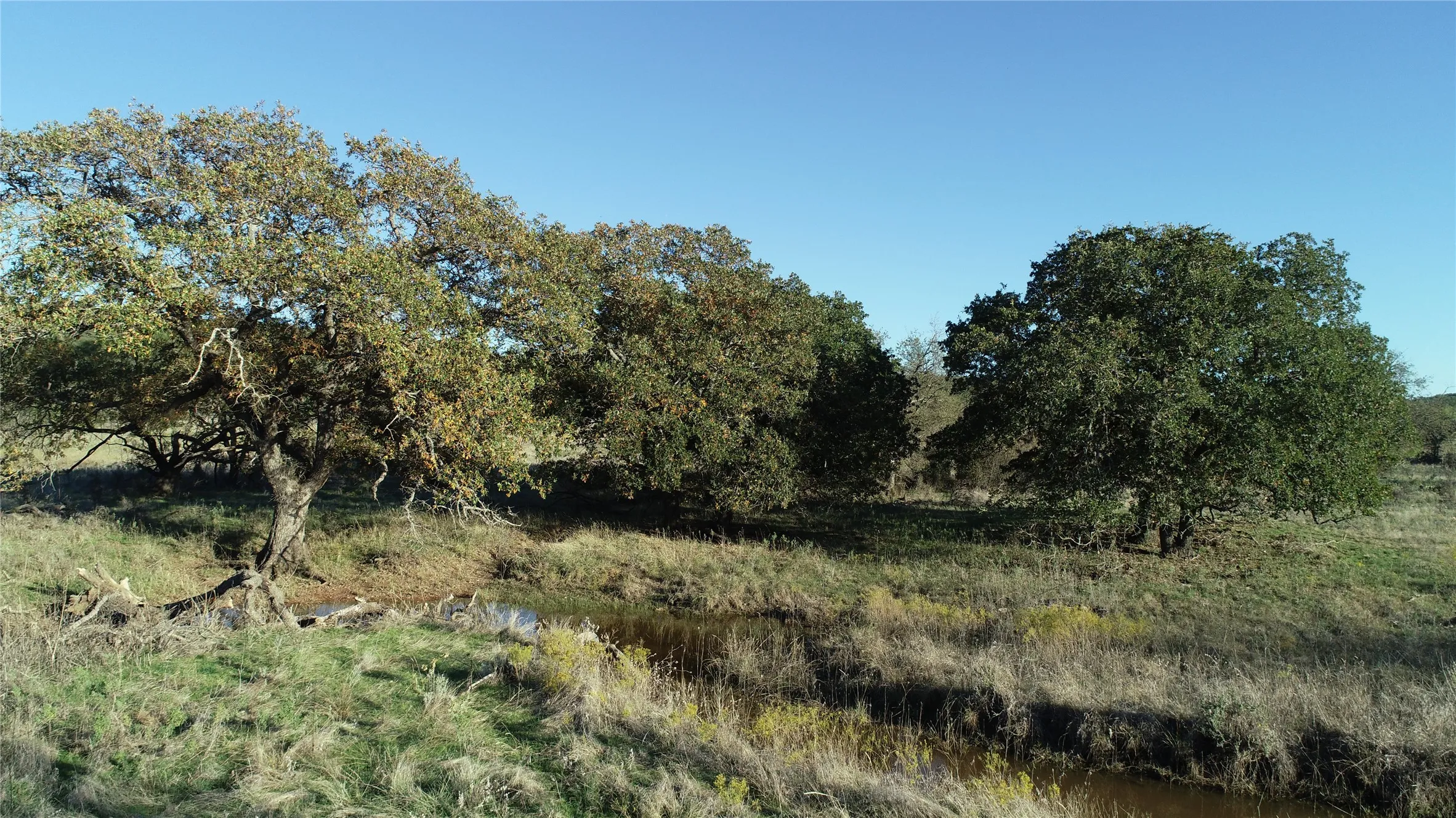 Ranch For Sale in Jack County , 151 ac TBD W Hwy 114, Jermyn, Texas 76459, 0, 0, Garage spaces, 0 Sqft, built in 0, Price $898,500, mls#20863286, Real Estate Agent in Jermyn, Homes For Sale in Jack county, Homes For Sale in Jermyn, Realtor in Jermyn Texas, Real Estate Brokerage Independent Realty Texas, Luminita Cordes Realtor