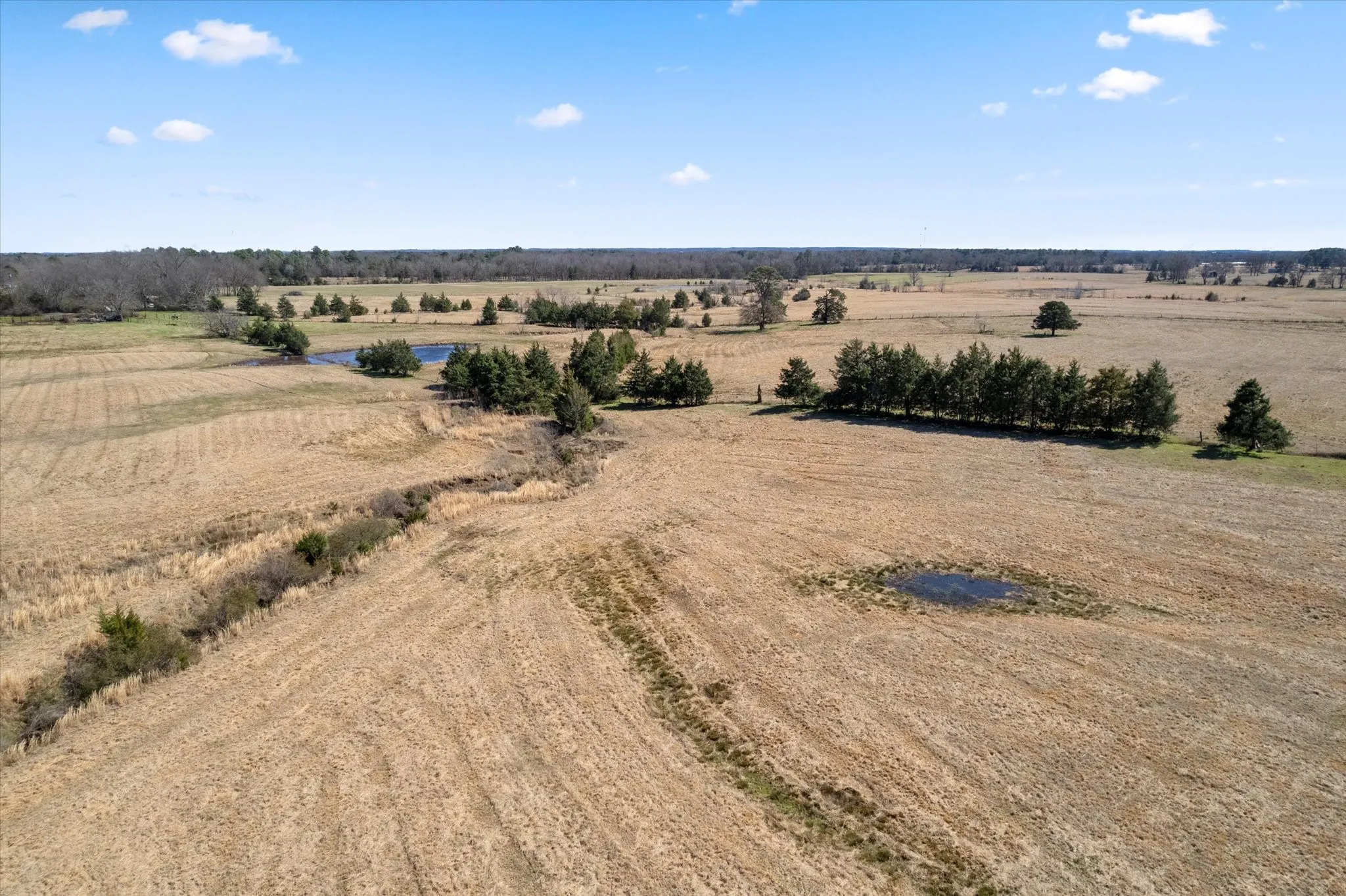 Bird's eye view with a rural view
