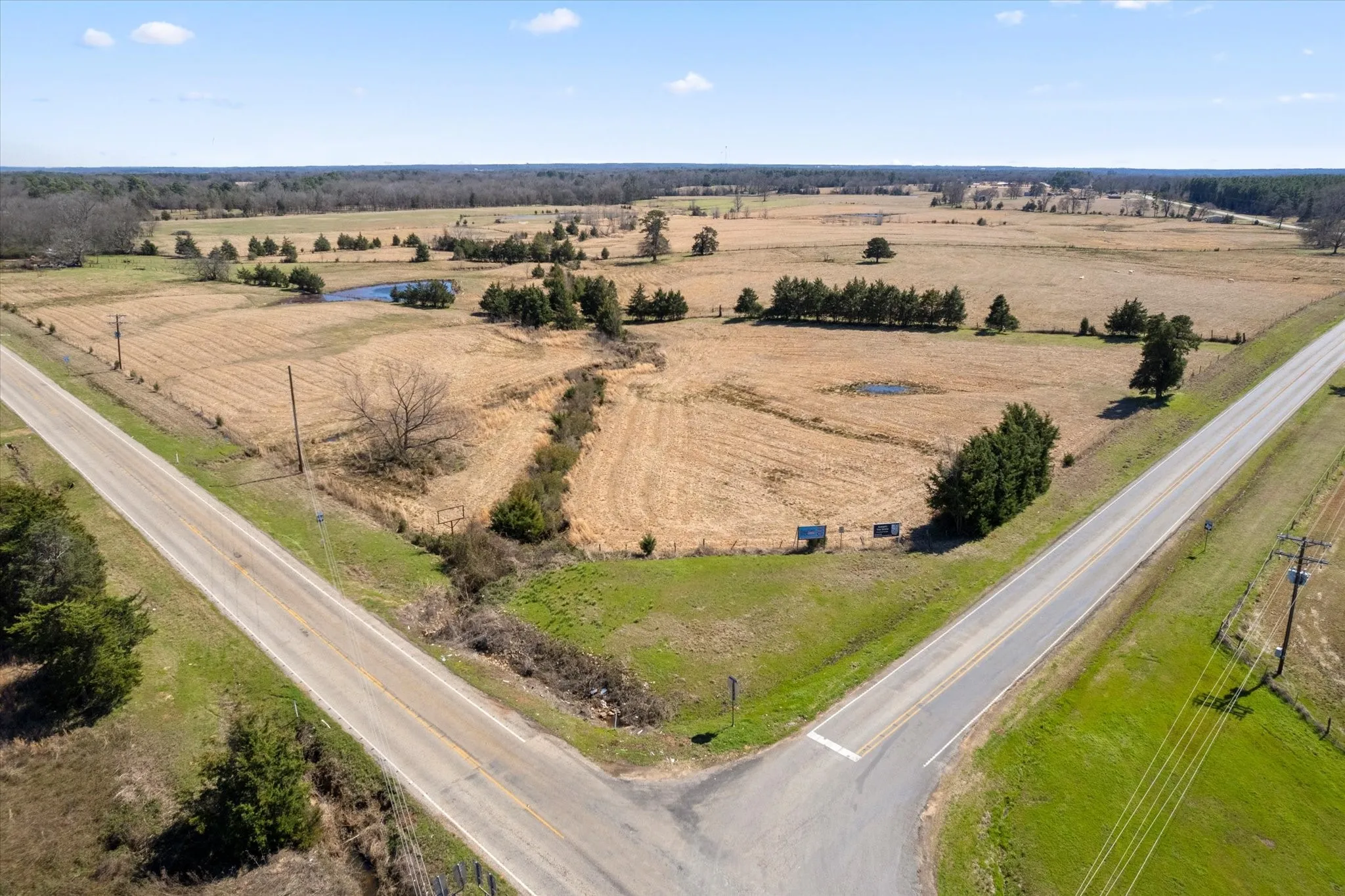Bird's eye view featuring a rural view