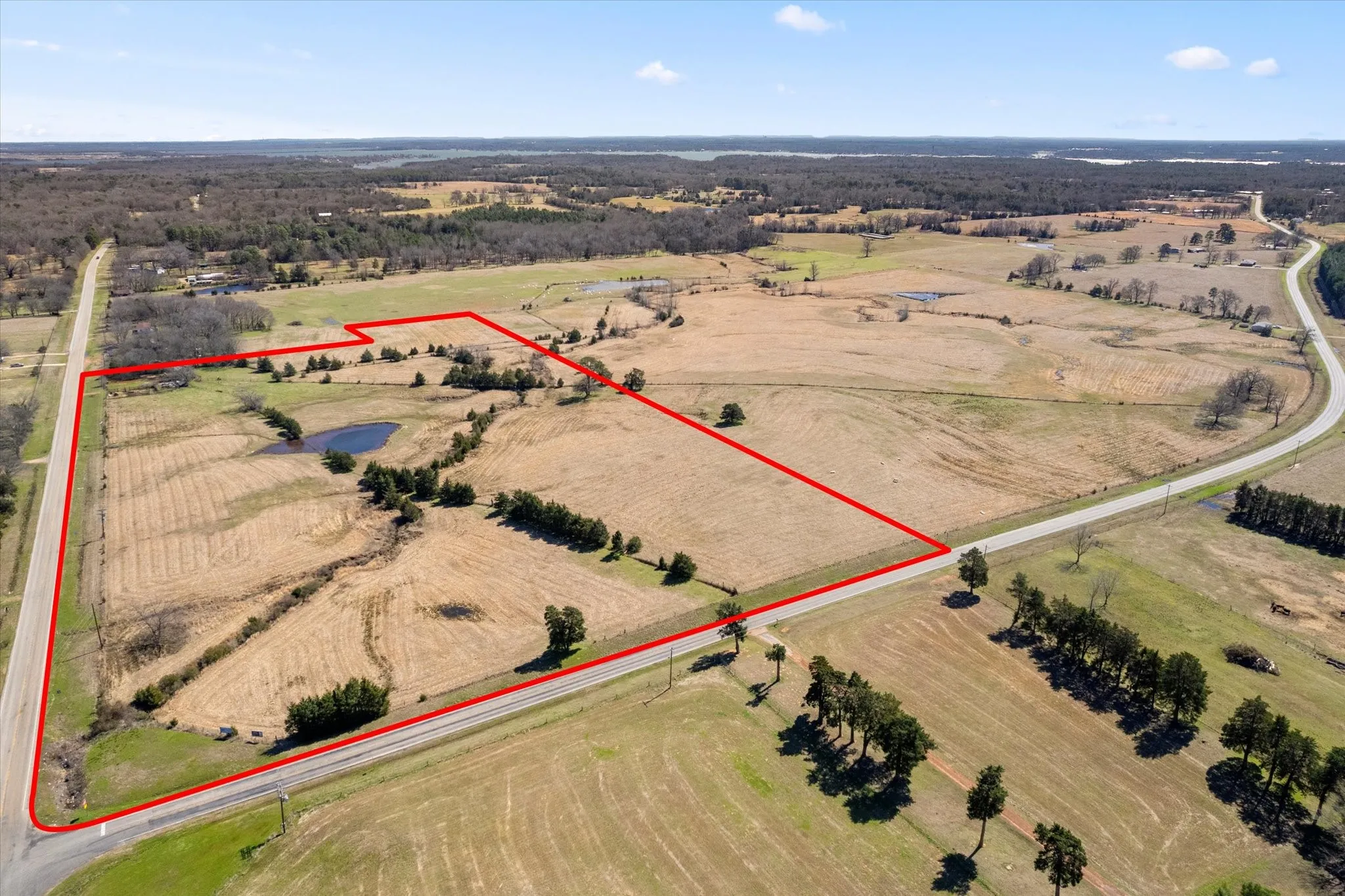 Drone / aerial view featuring a rural view