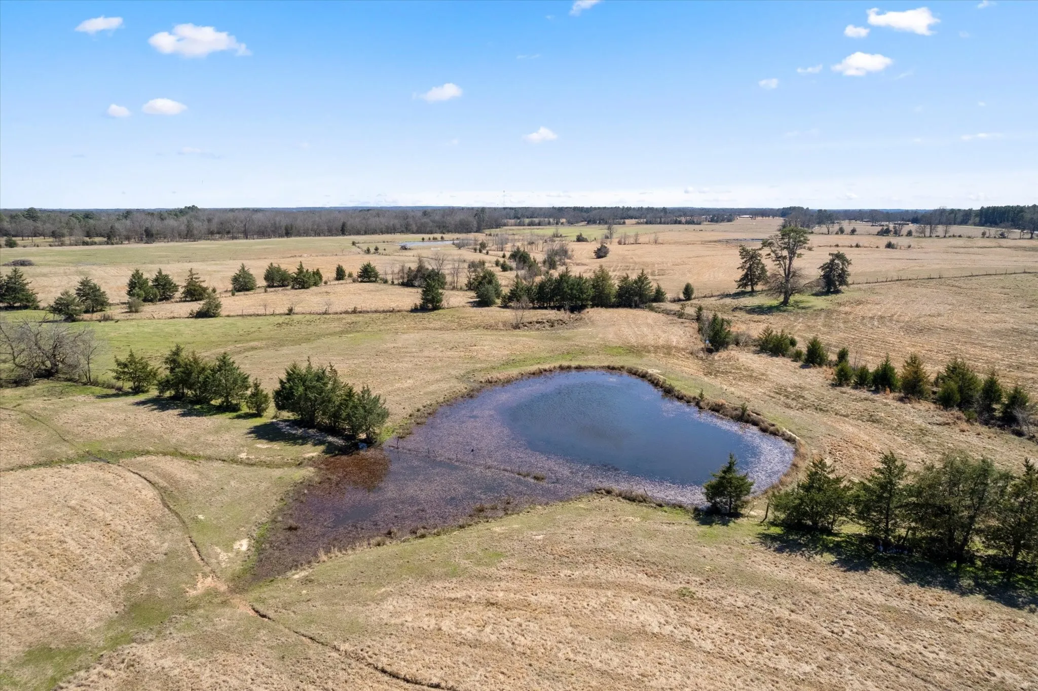 Drone / aerial view with a rural view and a water view