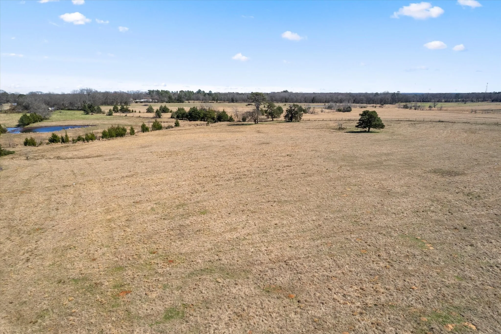 View of local wilderness with a rural view
