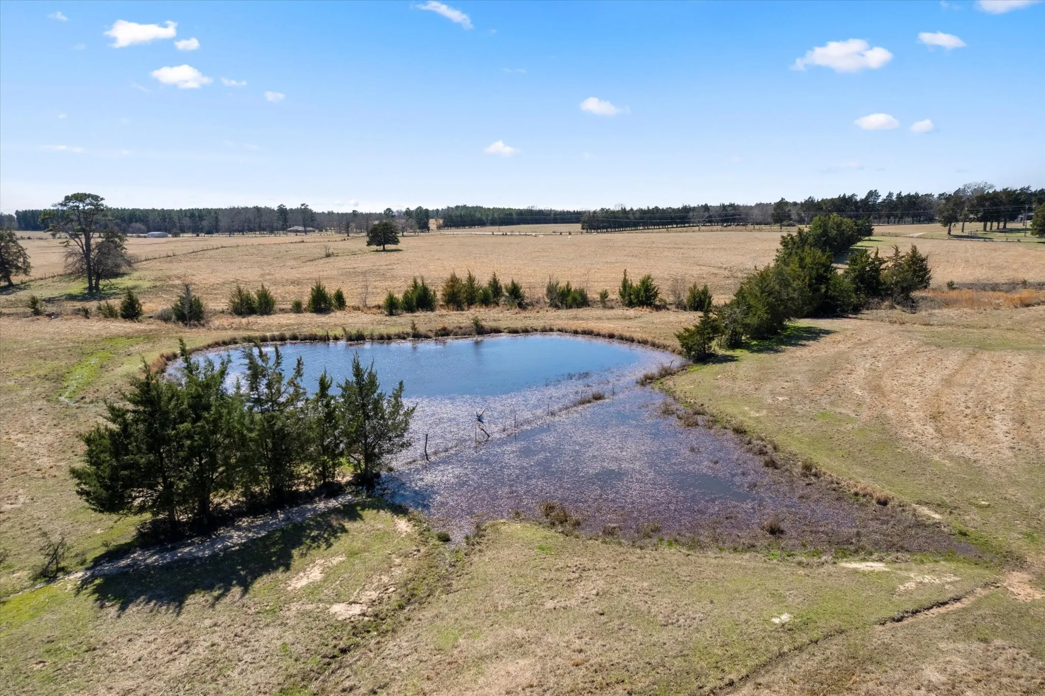 Unimproved Land For Sale in Titus County , TBD FM 2882, Mt Pleasant, Texas 75455, 0, 0, Garage spaces, 0 Sqft, built in 0, mls#20863725, Real Estate Agent in Mt Pleasant, Homes For Sale in Titus county, Homes For Sale in Mt Pleasant, Realtor in Mt Pleasant Texas, Real Estate Brokerage Independent Realty Texas, Luminita Cordes Realtor