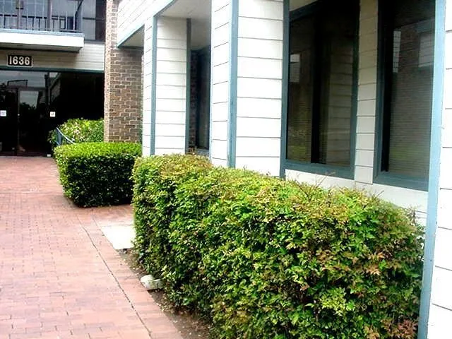 Exterior Entry
