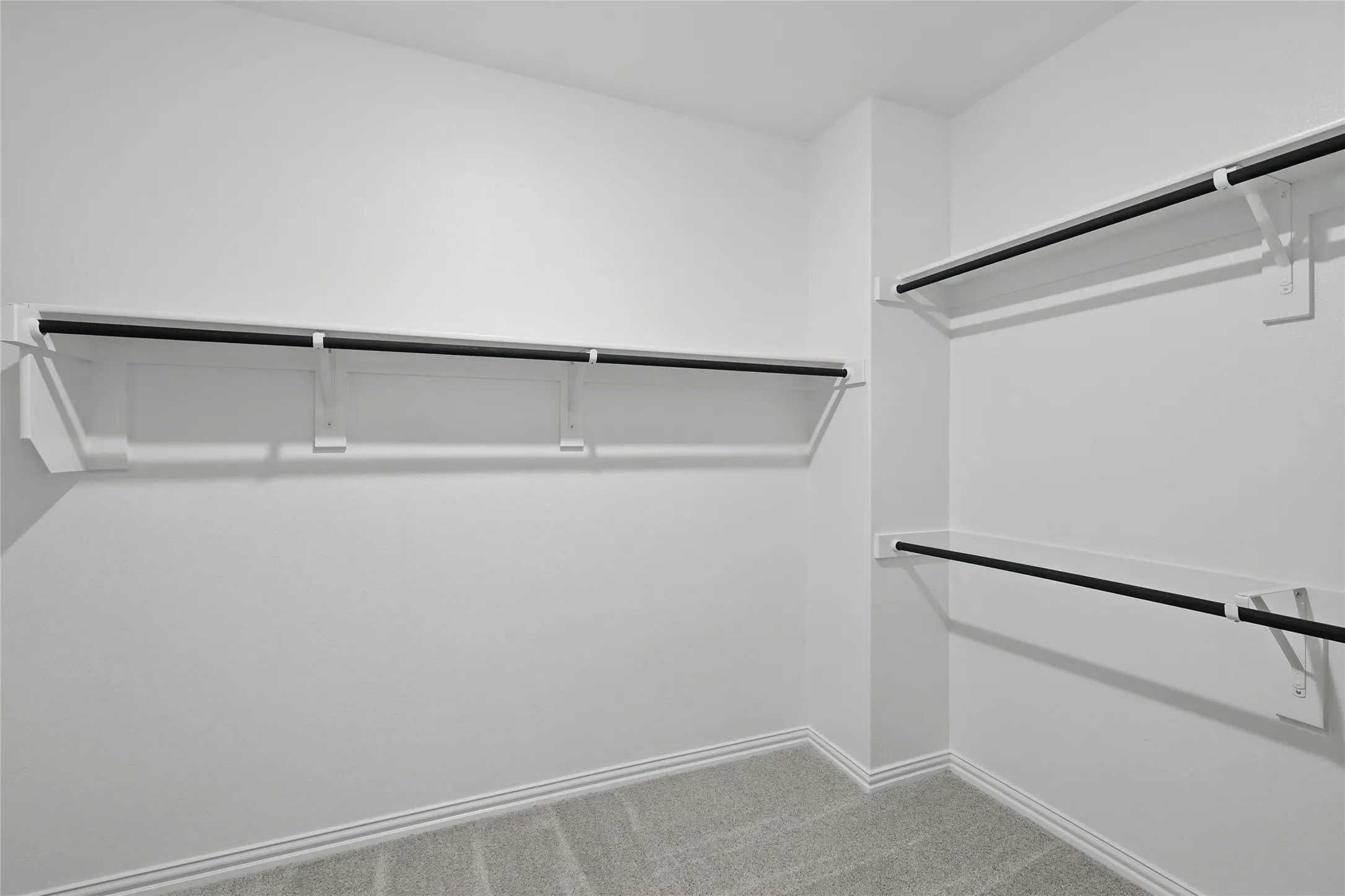 Walk in closet with carpet floors