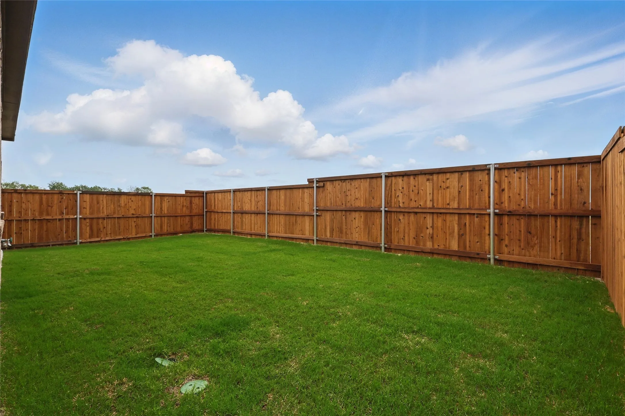 View of fenced backyard