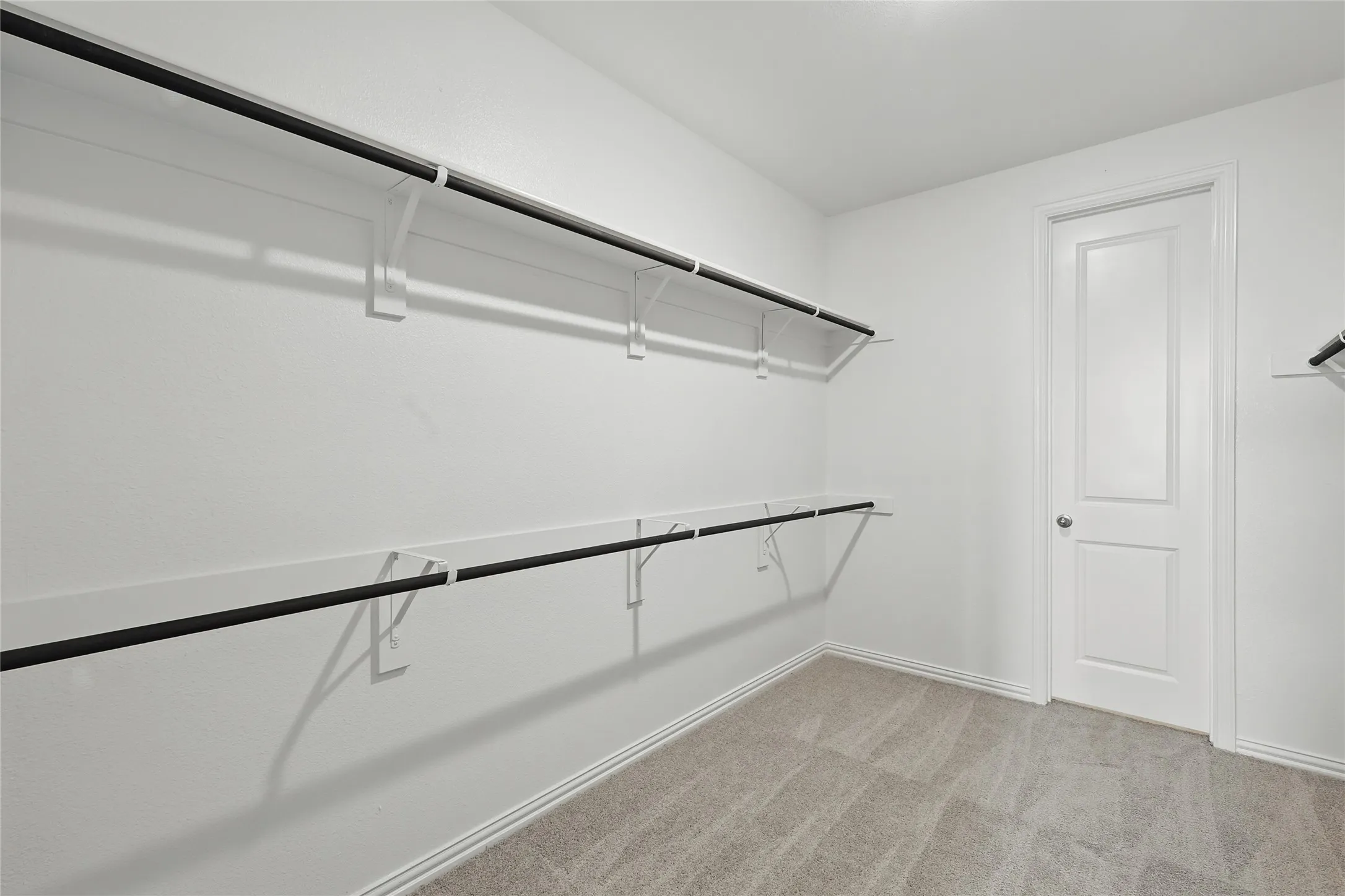Spacious closet featuring light carpet