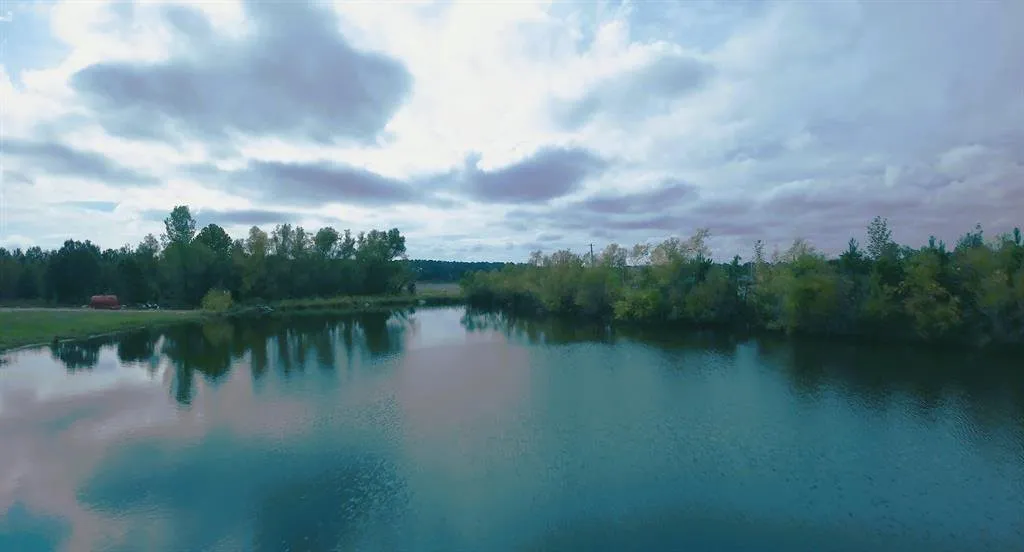 Property view of water featuring a view of trees