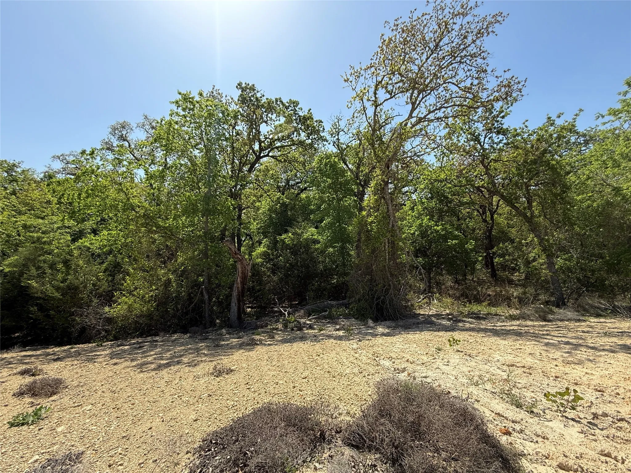View of nature featuring a wooded view