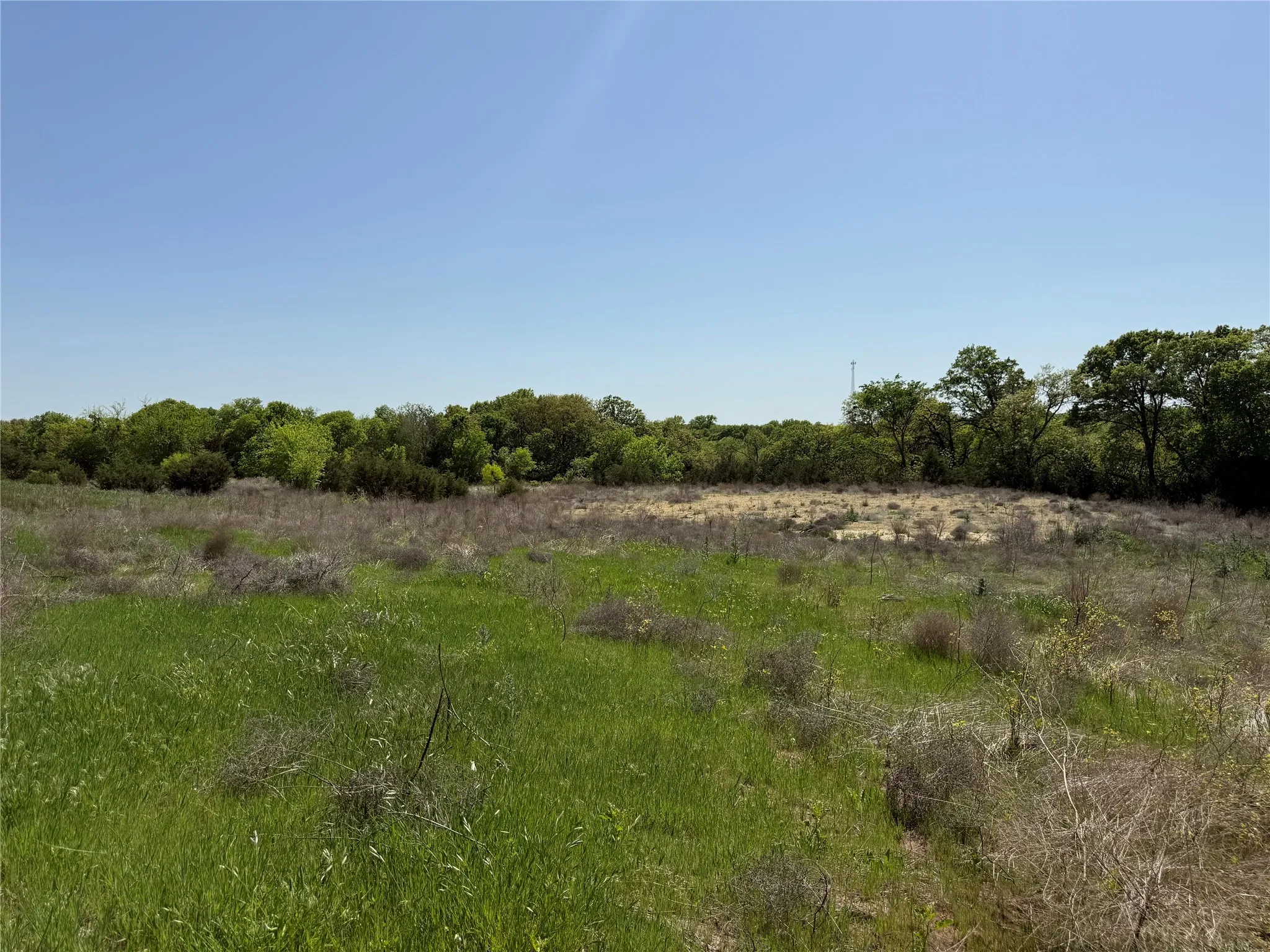 View of local wilderness with a rural view