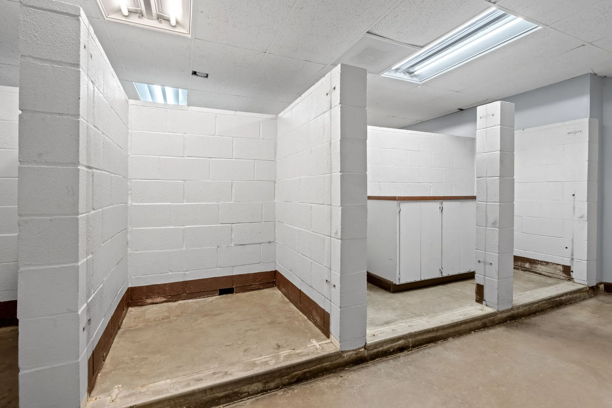 Wash and Grooming Bays