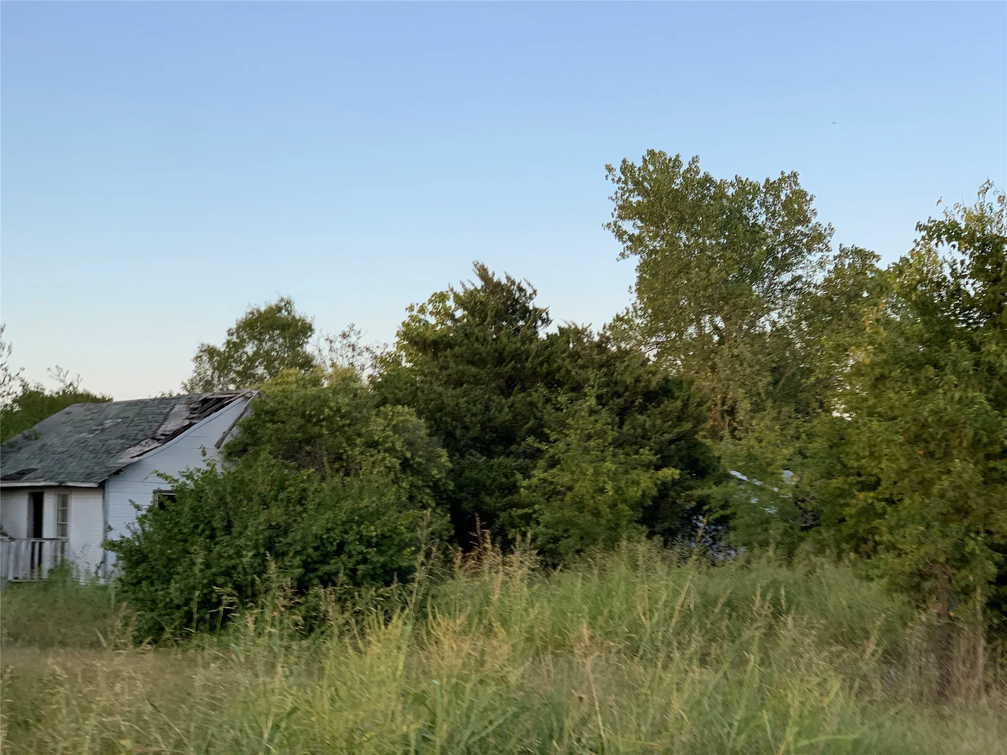Ranch For Sale in Collin County , 12343 county road 574, Farmersville, Texas 75442, 0, 0, Garage spaces, 0 Sqft, built in 0, Price $700,000, mls#20865201, Real Estate Agent in Farmersville, Homes For Sale in Collin county, Homes For Sale in Farmersville, Realtor in Farmersville Texas, Real Estate Brokerage Independent Realty Texas, Luminita Cordes Realtor
