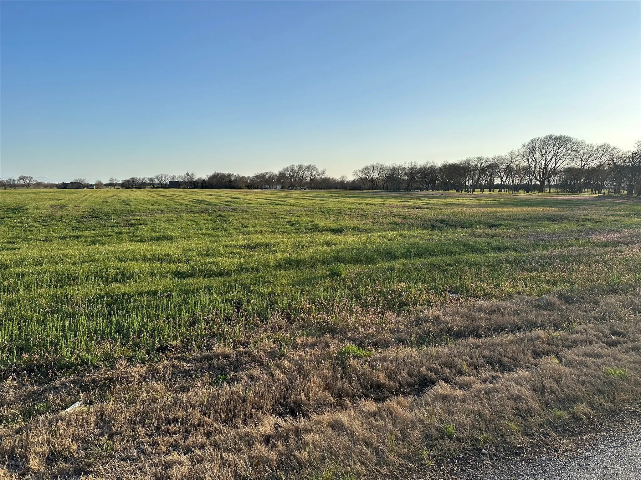 Unimproved Land For Sale in Grayson County , 00 Mc Connell Road, Gunter, Texas 75058, 0, 0, Garage spaces, 0 Sqft, built in 0, Price $1,200,000, mls#20863841, Real Estate Agent in Gunter, Homes For Sale in Grayson county, Homes For Sale in Gunter, Realtor in Gunter Texas, Real Estate Brokerage Independent Realty Texas, Luminita Cordes Realtor