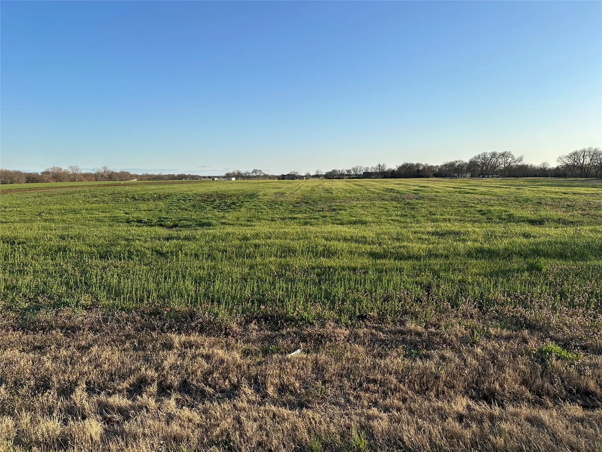 Unimproved Land For Sale in Grayson County , 00 Mc Connell Road, Gunter, Texas 75058, 0, 0, Garage spaces, 0 Sqft, built in 0, Price $1,200,000, mls#20863841, Real Estate Agent in Gunter, Homes For Sale in Grayson county, Homes For Sale in Gunter, Realtor in Gunter Texas, Real Estate Brokerage Independent Realty Texas, Luminita Cordes Realtor