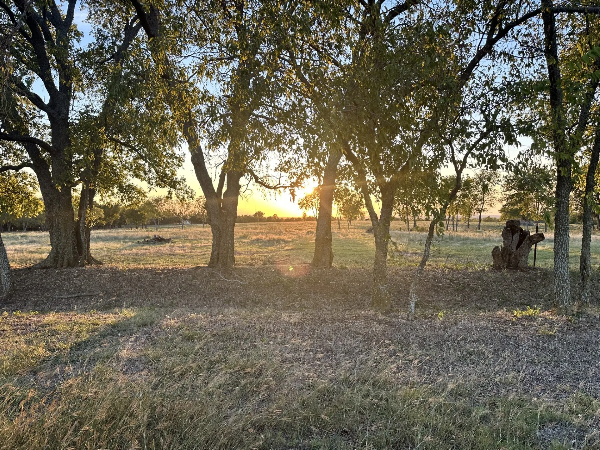 Unimproved Land For Sale in Grayson County , 000 Mc Connell Road, Gunter, Texas 75058, 0, 0, Garage spaces, 0 Sqft, built in 0, Price $2,600,000, mls#20866126, Real Estate Agent in Gunter, Homes For Sale in Grayson county, Homes For Sale in Gunter, Realtor in Gunter Texas, Real Estate Brokerage Independent Realty Texas, Luminita Cordes Realtor