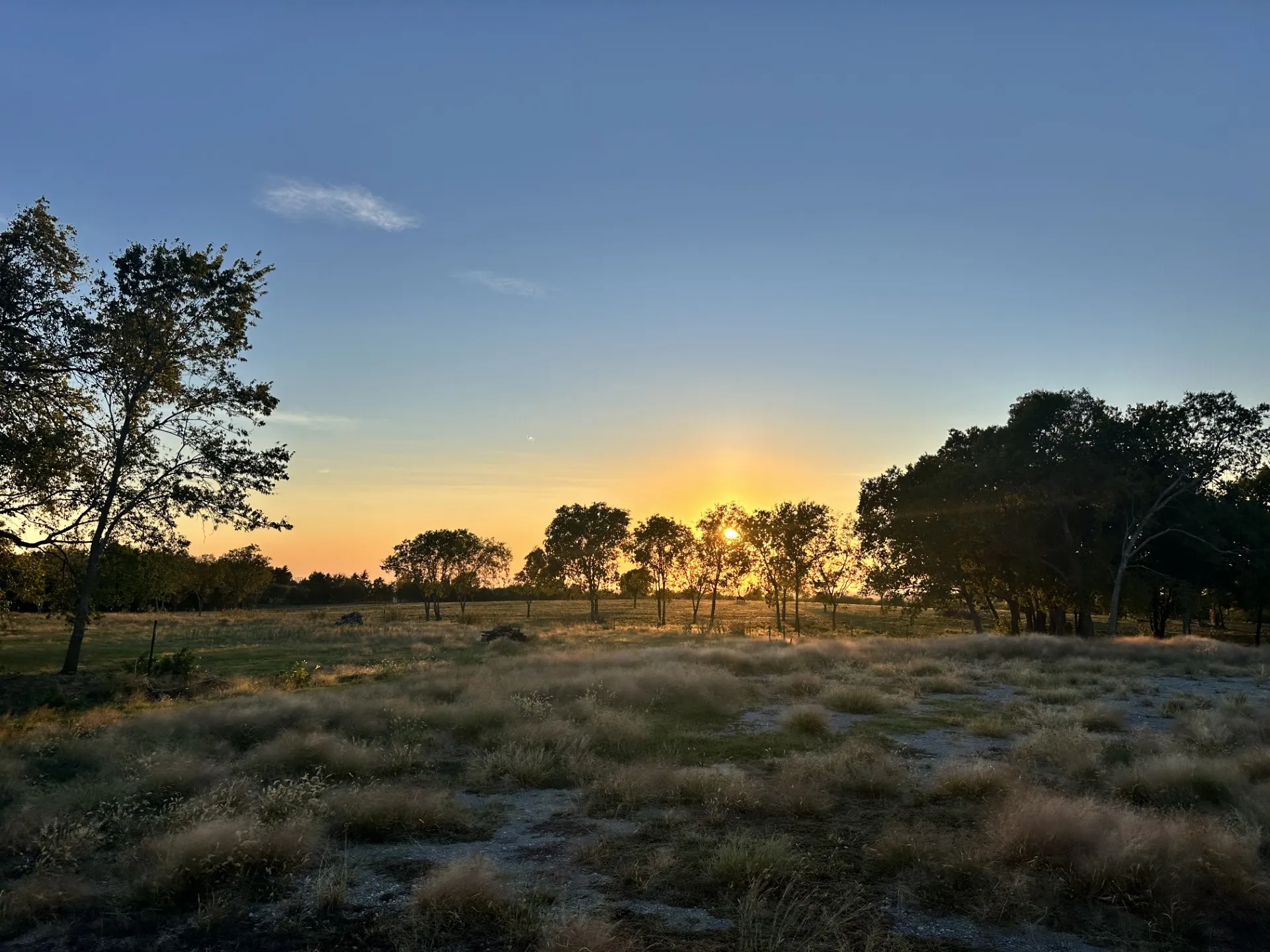 Unimproved Land For Sale in Grayson County , 000 Mc Connell Road, Gunter, Texas 75058, 0, 0, Garage spaces, 0 Sqft, built in 0, Price $2,600,000, mls#20866126, Real Estate Agent in Gunter, Homes For Sale in Grayson county, Homes For Sale in Gunter, Realtor in Gunter Texas, Real Estate Brokerage Independent Realty Texas, Luminita Cordes Realtor