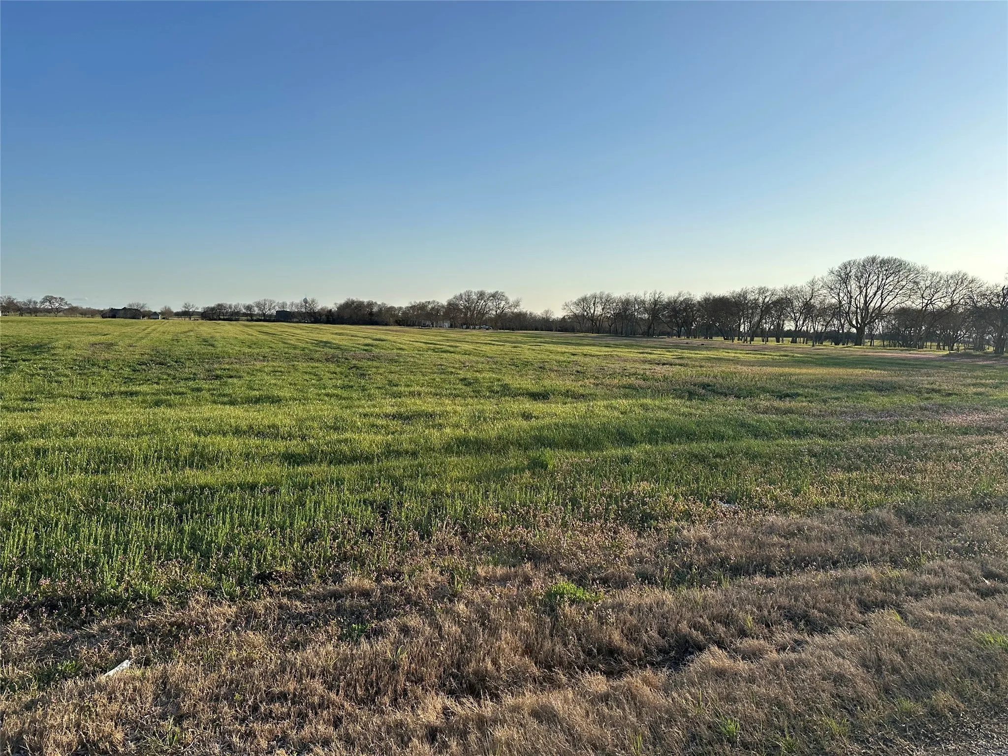 Unimproved Land For Sale in Grayson County , 000 Mc Connell Road, Gunter, Texas 75058, 0, 0, Garage spaces, 0 Sqft, built in 0, Price $2,600,000, mls#20866126, Real Estate Agent in Gunter, Homes For Sale in Grayson county, Homes For Sale in Gunter, Realtor in Gunter Texas, Real Estate Brokerage Independent Realty Texas, Luminita Cordes Realtor