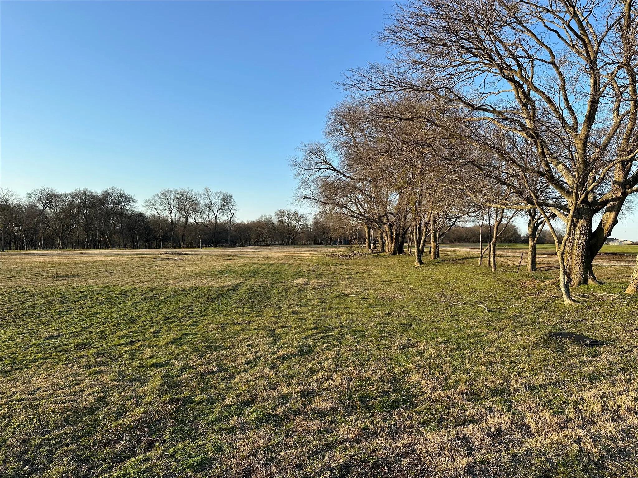 Unimproved Land For Sale in Grayson County , 000 Mc Connell Road, Gunter, Texas 75058, 0, 0, Garage spaces, 0 Sqft, built in 0, Price $2,600,000, mls#20866126, Real Estate Agent in Gunter, Homes For Sale in Grayson county, Homes For Sale in Gunter, Realtor in Gunter Texas, Real Estate Brokerage Independent Realty Texas, Luminita Cordes Realtor