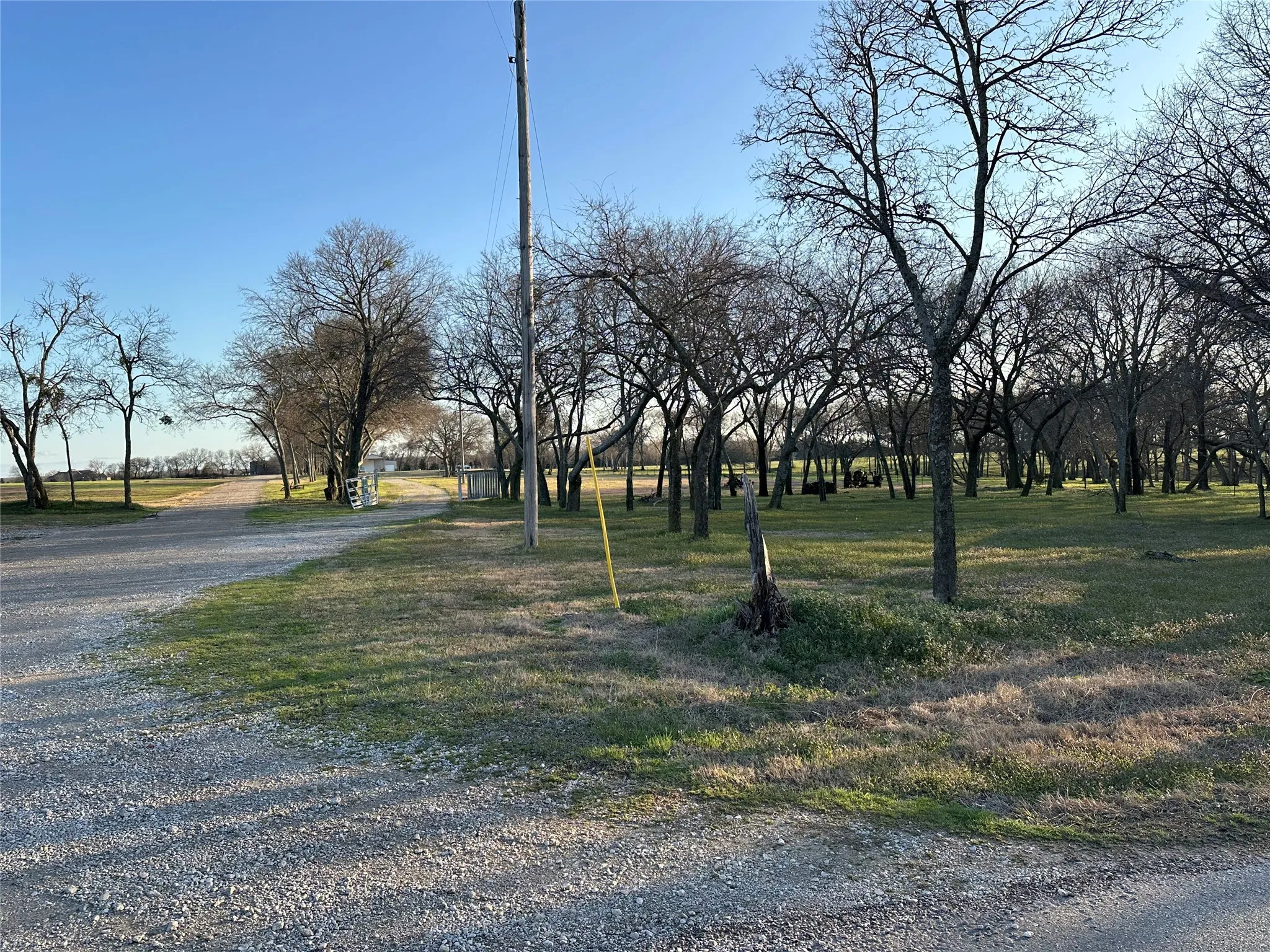 Unimproved Land For Sale in Grayson County , 000 Mc Connell Road, Gunter, Texas 75058, 0, 0, Garage spaces, 0 Sqft, built in 0, Price $2,600,000, mls#20866126, Real Estate Agent in Gunter, Homes For Sale in Grayson county, Homes For Sale in Gunter, Realtor in Gunter Texas, Real Estate Brokerage Independent Realty Texas, Luminita Cordes Realtor