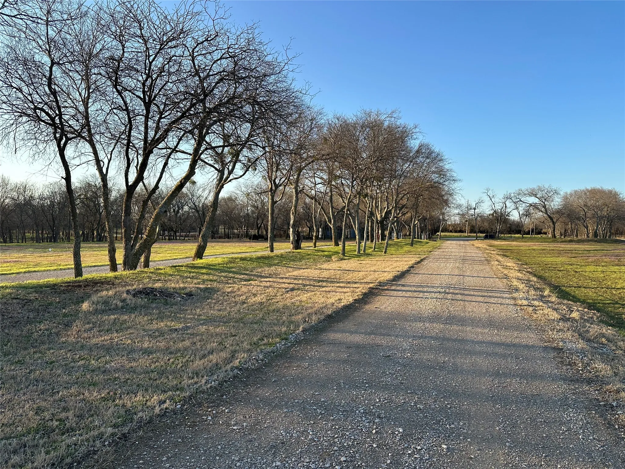 Unimproved Land For Sale in Grayson County , 000 Mc Connell Road, Gunter, Texas 75058, 0, 0, Garage spaces, 0 Sqft, built in 0, Price $2,600,000, mls#20866126, Real Estate Agent in Gunter, Homes For Sale in Grayson county, Homes For Sale in Gunter, Realtor in Gunter Texas, Real Estate Brokerage Independent Realty Texas, Luminita Cordes Realtor
