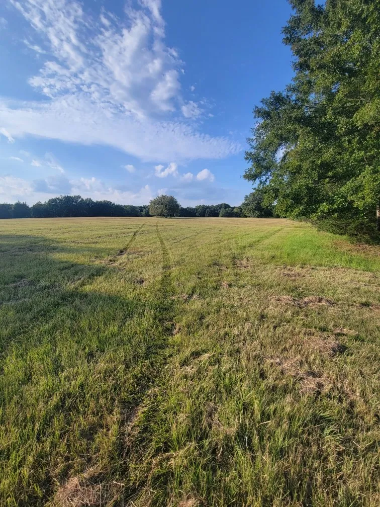 View of yard with a rural view