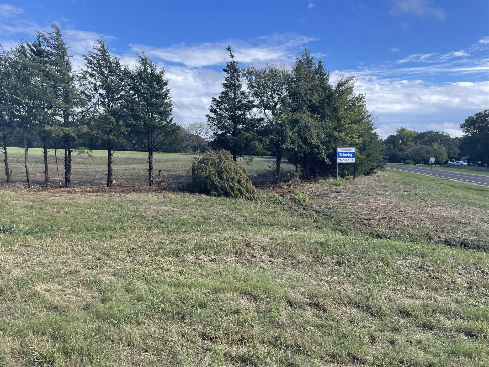 Unimproved Land For Sale in Fannin County , TBD Fm-2029, Telephone, Texas 75488, 0, 0, Garage spaces, 0 Sqft, built in 0, Price $125,000, mls#20866874, Real Estate Agent in Telephone, Homes For Sale in Fannin county, Homes For Sale in Telephone, Realtor in Telephone Texas, Real Estate Brokerage Independent Realty Texas, Luminita Cordes Realtor