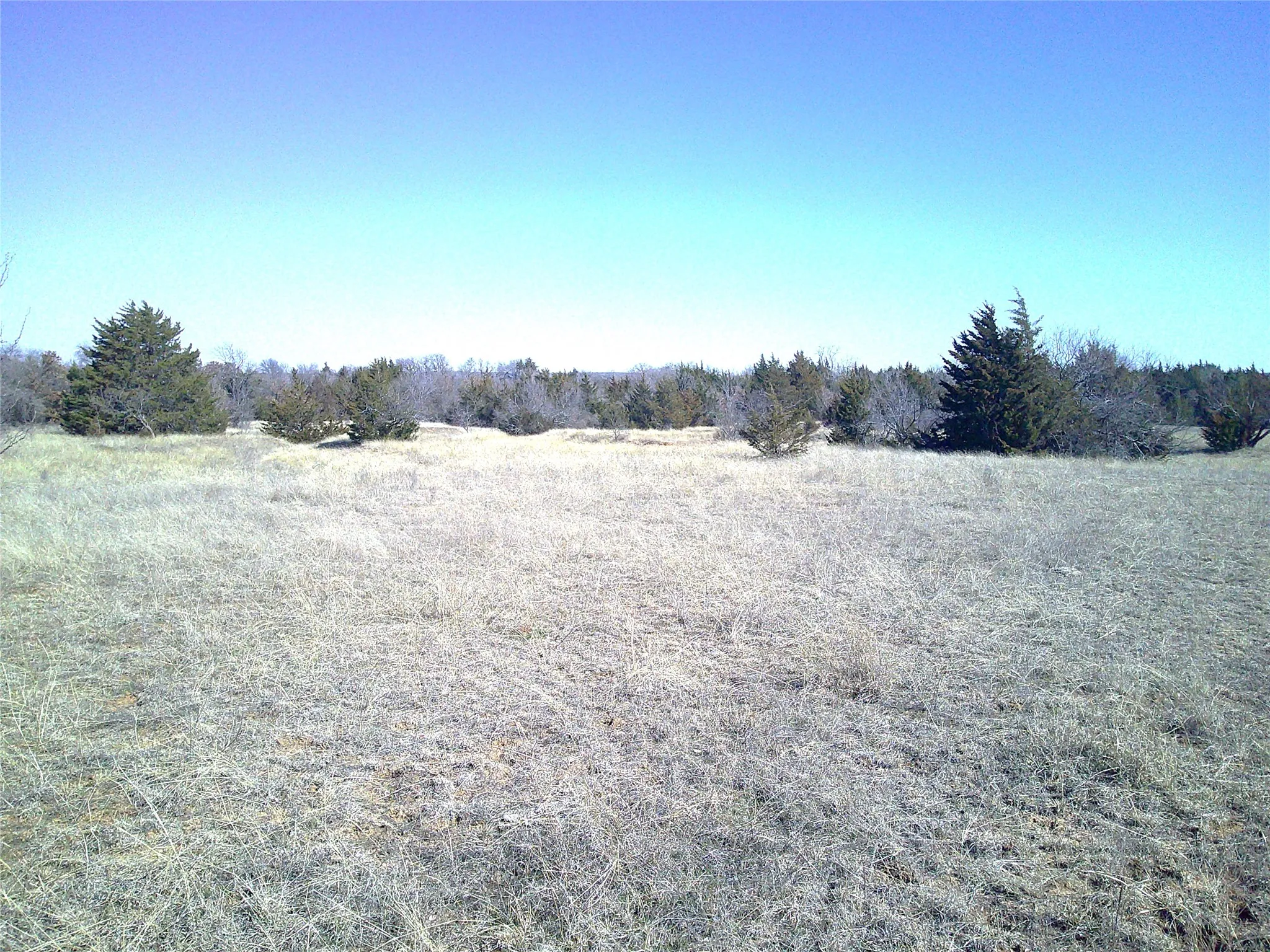 Unimproved Land For Sale in Wise County , Tr 5 CR 1750, Chico, Texas 76431, 0, 0, Garage spaces, 0 Sqft, built in 0, mls#20867567, Real Estate Agent in Chico, Homes For Sale in Wise county, Homes For Sale in Chico, Realtor in Chico Texas, Real Estate Brokerage Independent Realty Texas, Luminita Cordes Realtor